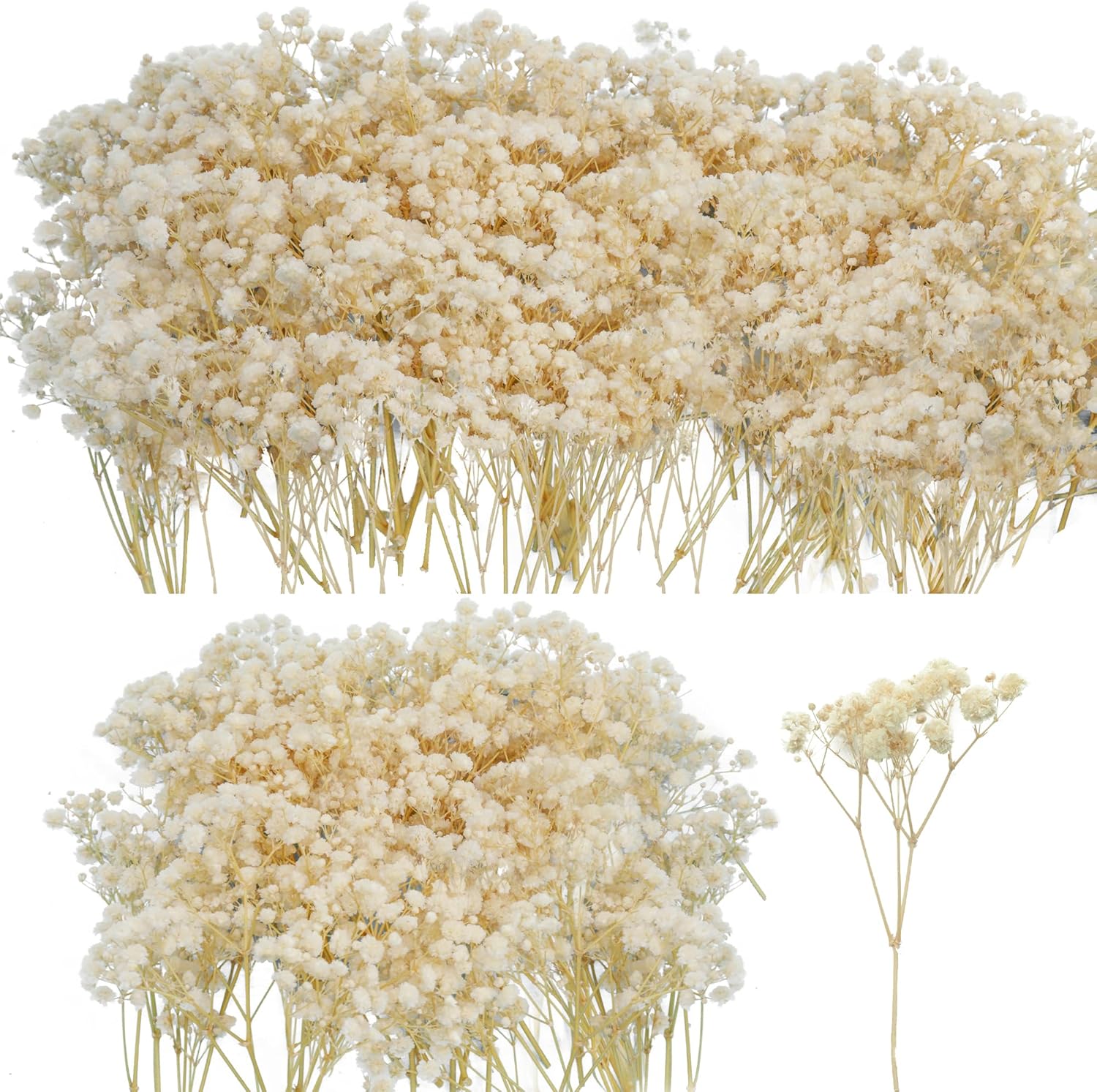 50Pcs Mini Dried Baby's Breath Flowers, 6'' Natural Ivory White Flowers for Resin Art Craft DIY, 3000+ Pressed Gypsophila Bouquet Present for Valentine's Day, Wedding Wreath, Card Making, Home Decor - Image 1