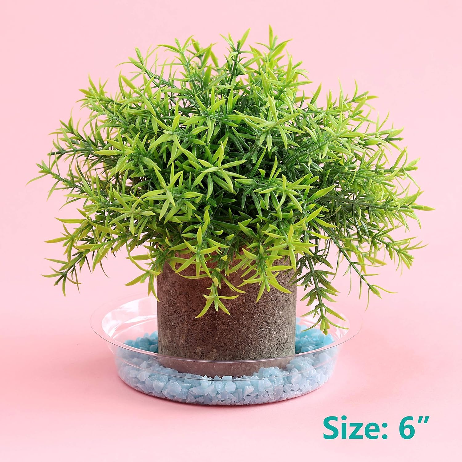 20 Pack 6 Inch Plant Saucers Clear Plastic Plant Saucer Drip Trays Small Plant Plate Dish for Indoor Flower Pots and Planters, Bulk - Image 2