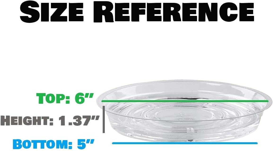 20 Pack 6 Inch Plant Saucers Clear Plastic Plant Saucer Drip Trays Small Plant Plate Dish for Indoor Flower Pots and Planters, Bulk - Image 3