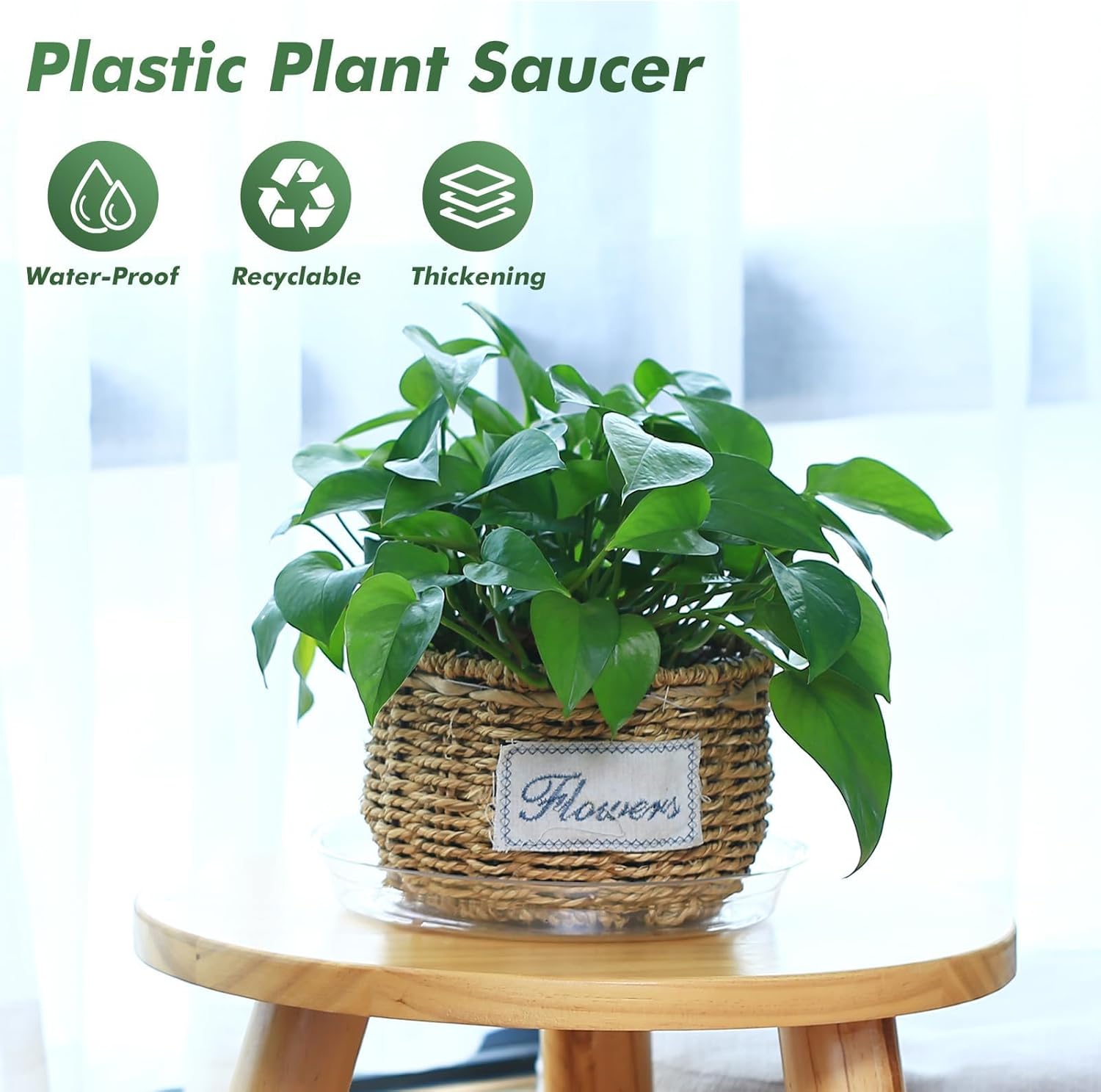 20 Pack 6 Inch Plant Saucers Clear Plastic Plant Saucer Drip Trays Small Plant Plate Dish for Indoor Flower Pots and Planters, Bulk - Image 4