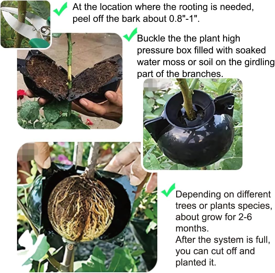 10 PCS Air Layering Propagation Kit with Zip Ties, Reusable Half Transparent Grafting Ball, Air Layering Pods Clear, Plant Rooting Grafting Box for Fast Propagation Plants (Medium) - Image 3