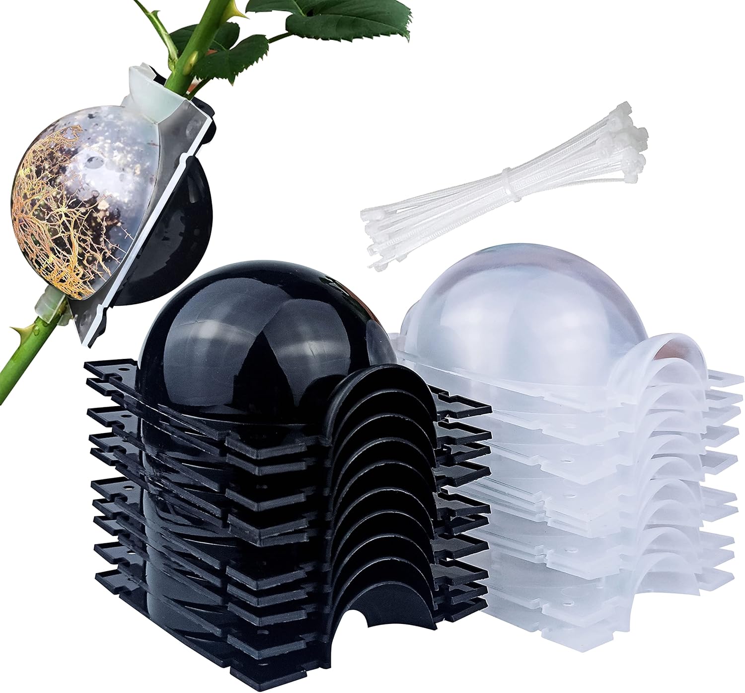 10 PCS Air Layering Propagation Kit with Zip Ties, Reusable Half Transparent Grafting Ball, Air Layering Pods Clear, Plant Rooting Grafting Box for Fast Propagation Plants (Medium) - Image 8
