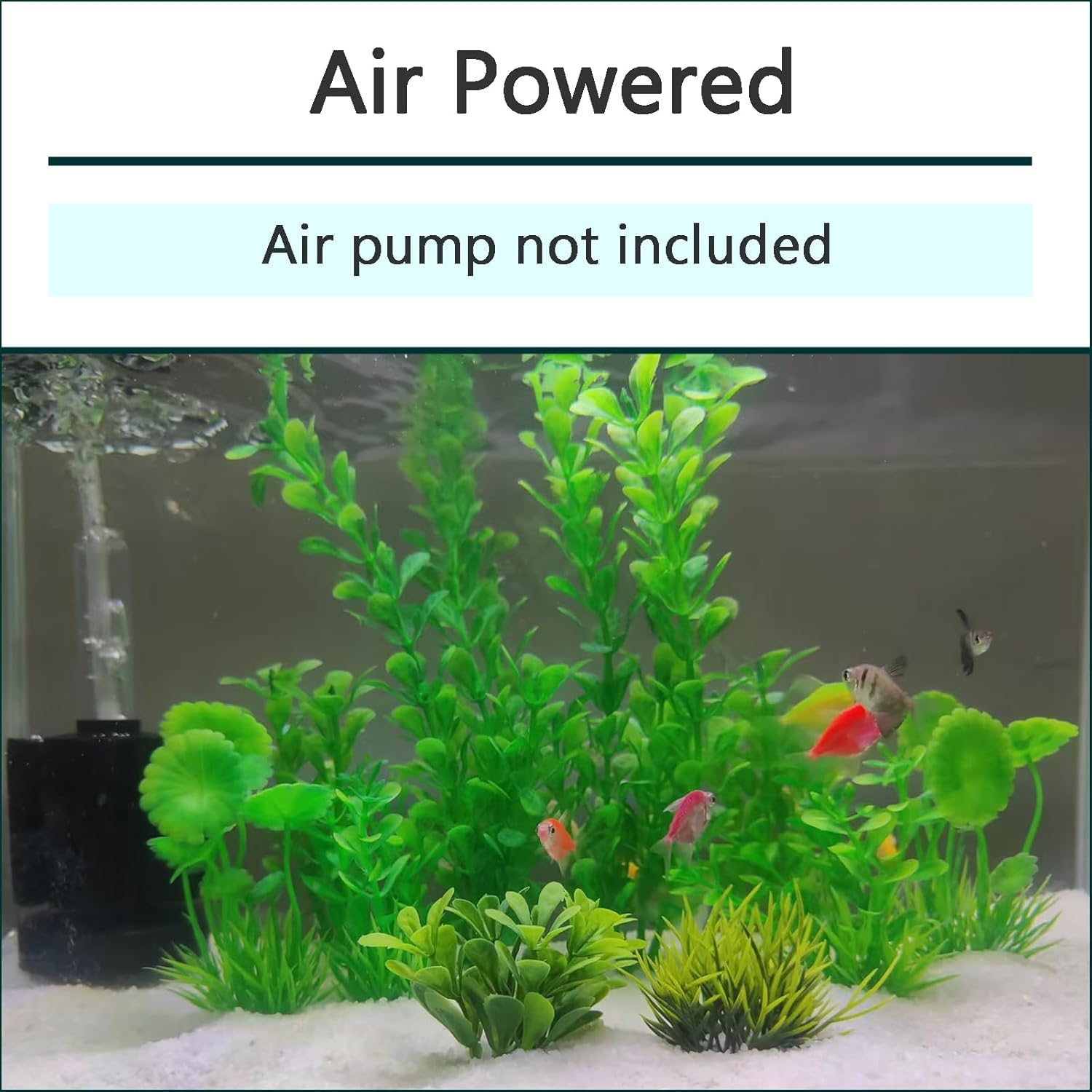 3 Pack Aquarium Bio Sponge Filter Breeding Fry Betta Shrimp Nano Fish Tank (Small up to 10Gal) - Image 5