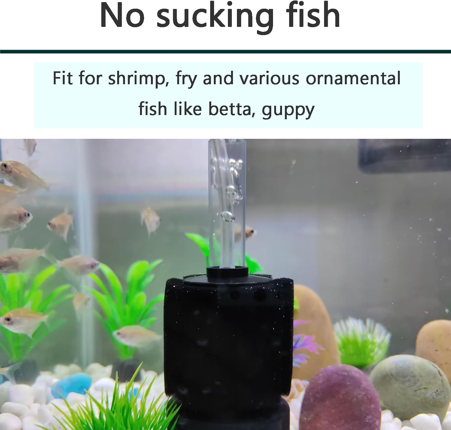3 Pack Aquarium Bio Sponge Filter Breeding Fry Betta Shrimp Nano Fish Tank (Small up to 10Gal) - Image 6