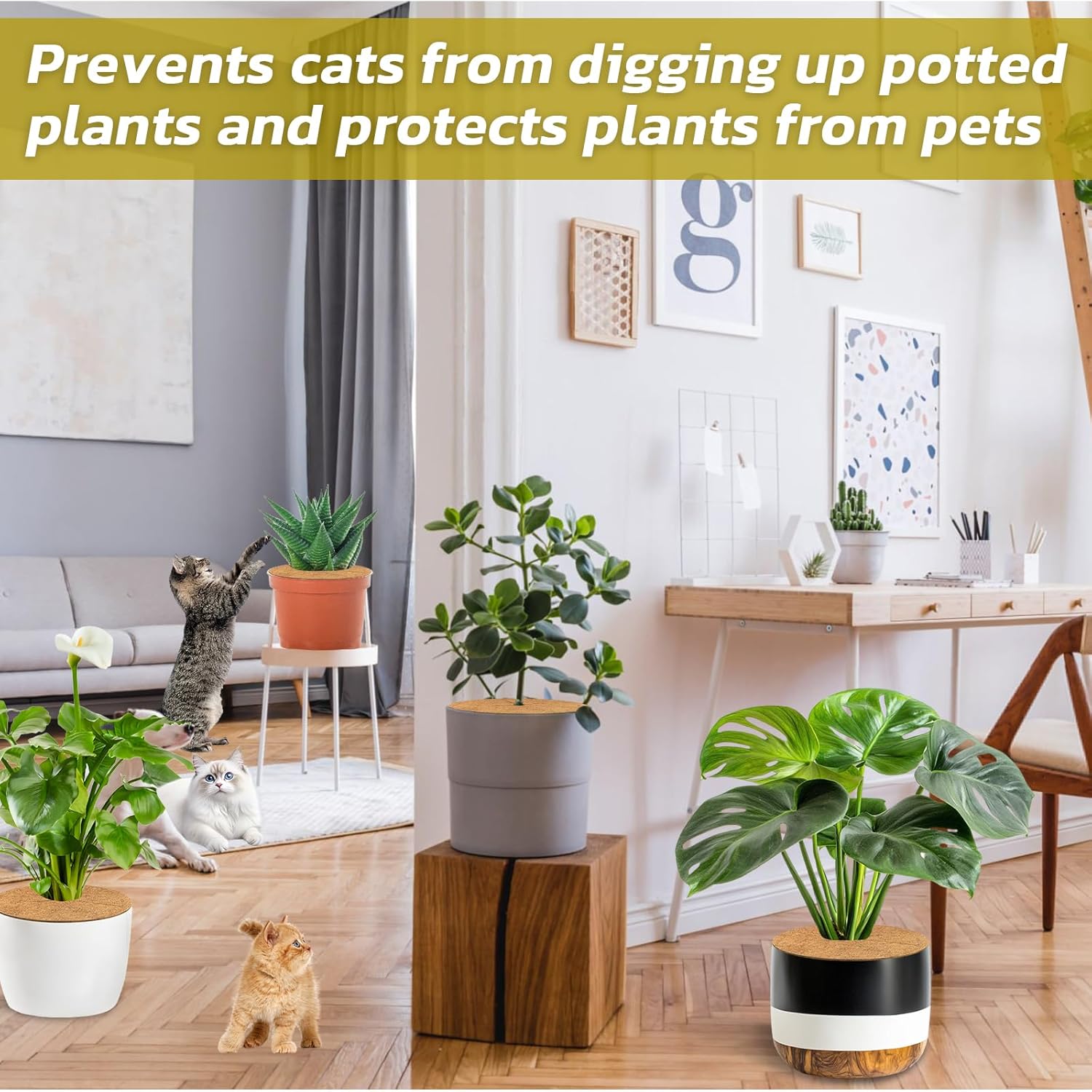 4pcs Coconut Fiber Mulch Ring Tree Plant Protector Mat, 11.8 Inch Natural Coco Coir Tree Mulch Ring Plant Pot Soil Cover, Tree Rings Disc Plant Cover for Indoor Outdoor Plants, Landscaping - Image 6