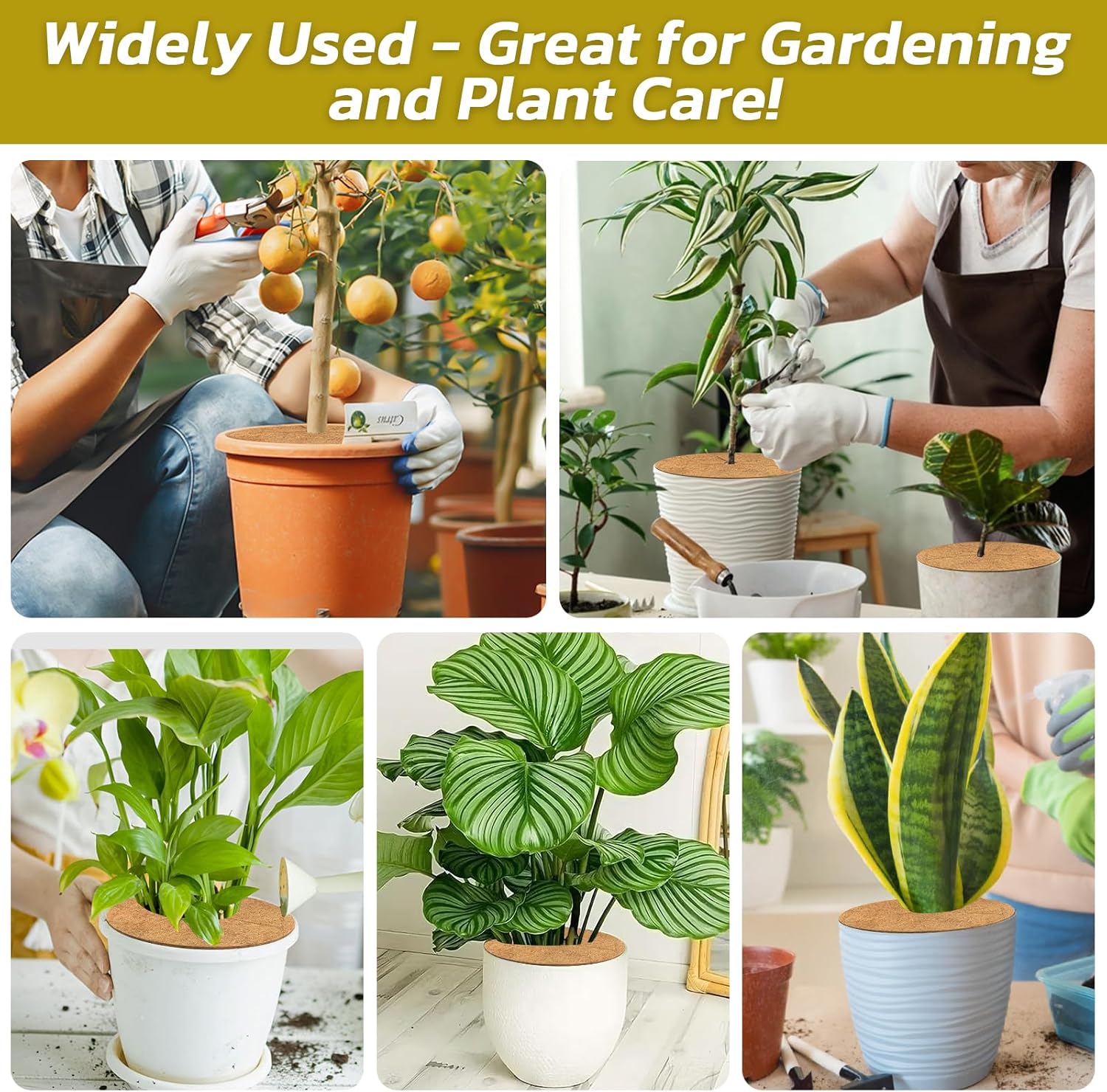 4pcs Coconut Fiber Mulch Ring Tree Plant Protector Mat, 11.8 Inch Natural Coco Coir Tree Mulch Ring Plant Pot Soil Cover, Tree Rings Disc Plant Cover for Indoor Outdoor Plants, Landscaping - Image 7