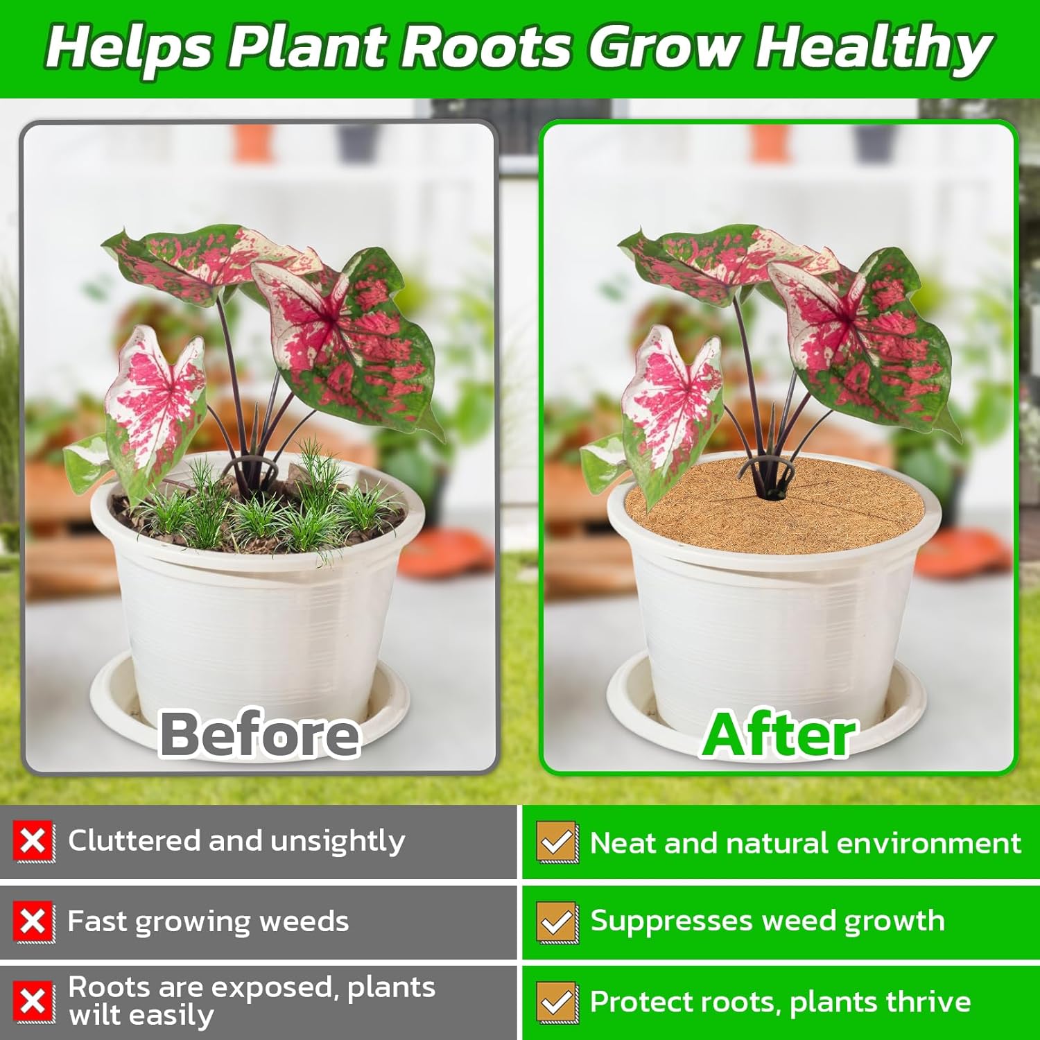 4pcs Coconut Fiber Mulch Ring Tree Plant Protector Mat, 14 Inch Natural Coco Coir Tree Mulch Ring Plant Pot Soil Cover, Tree Rings Disc Plant Cover for Indoor Outdoor Plants, Landscaping - Image 5