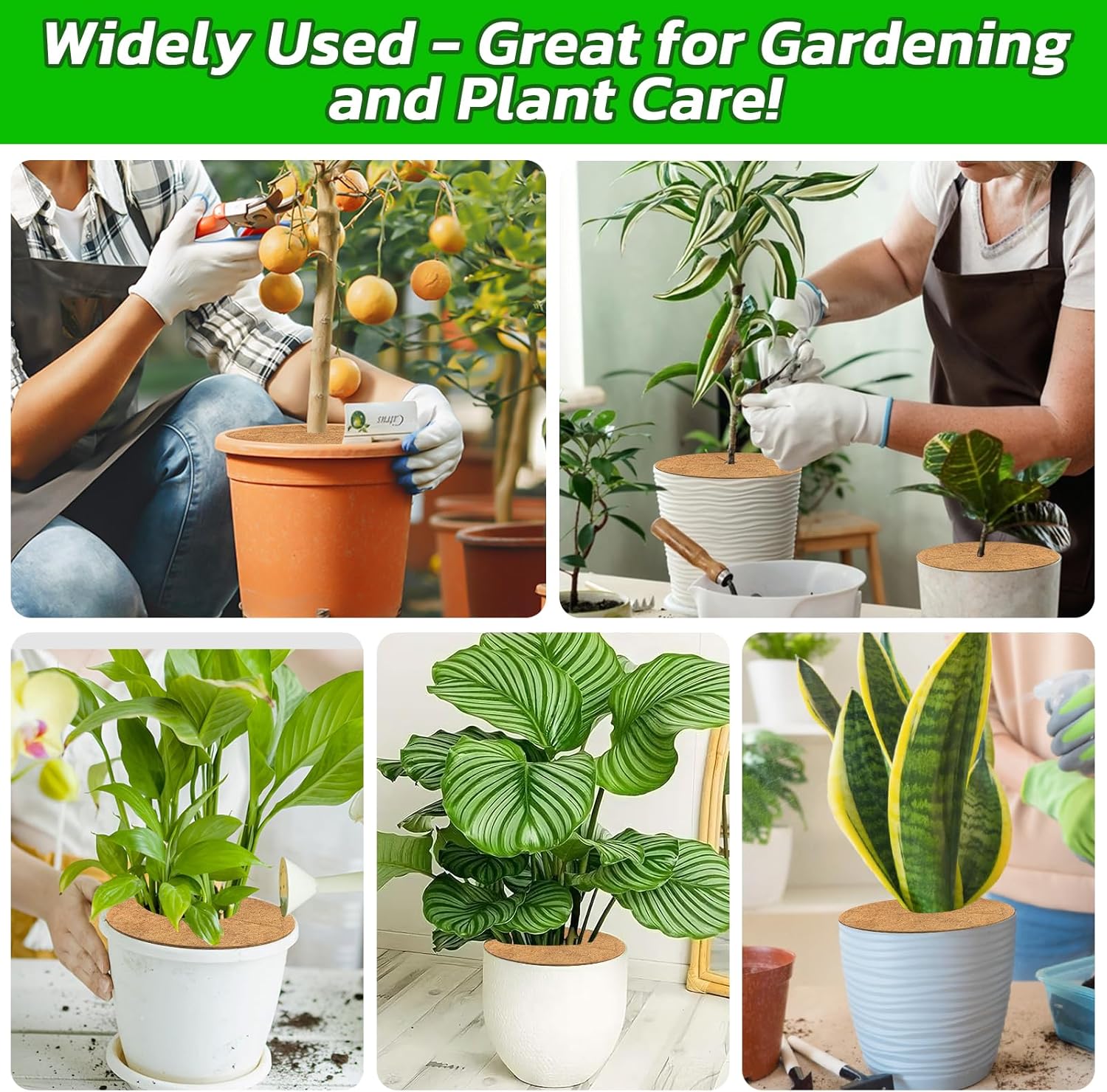 4pcs Coconut Fiber Mulch Ring Tree Plant Protector Mat, 14 Inch Natural Coco Coir Tree Mulch Ring Plant Pot Soil Cover, Tree Rings Disc Plant Cover for Indoor Outdoor Plants, Landscaping - Image 7