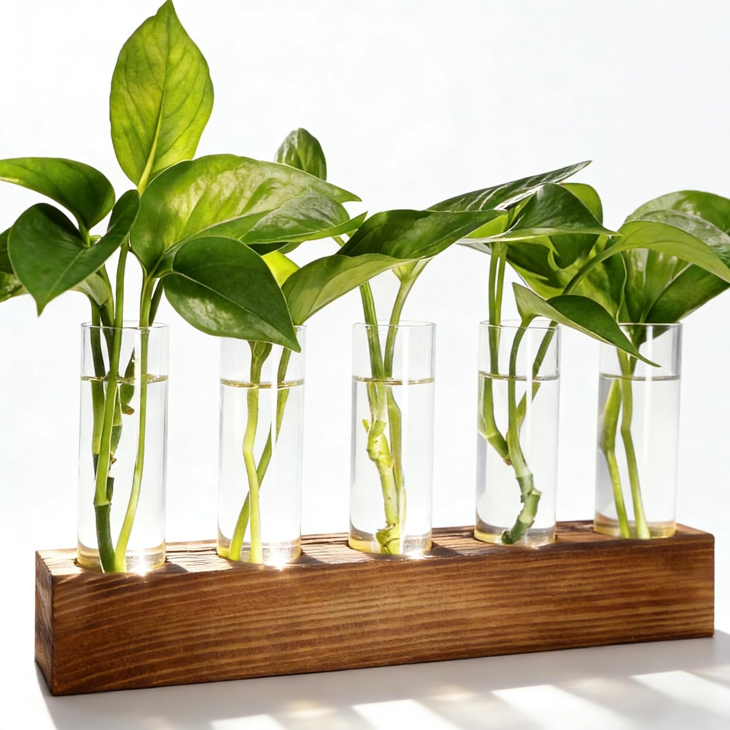 Plant Propagation Station, Plant Terrarium with Wooden Stand, Plants Pots for Hydroponics, Small Birthday Gardening Gifts for Women Mom Plants Lovers Unique - 5 Glass Test Tubes Vases - Image 1