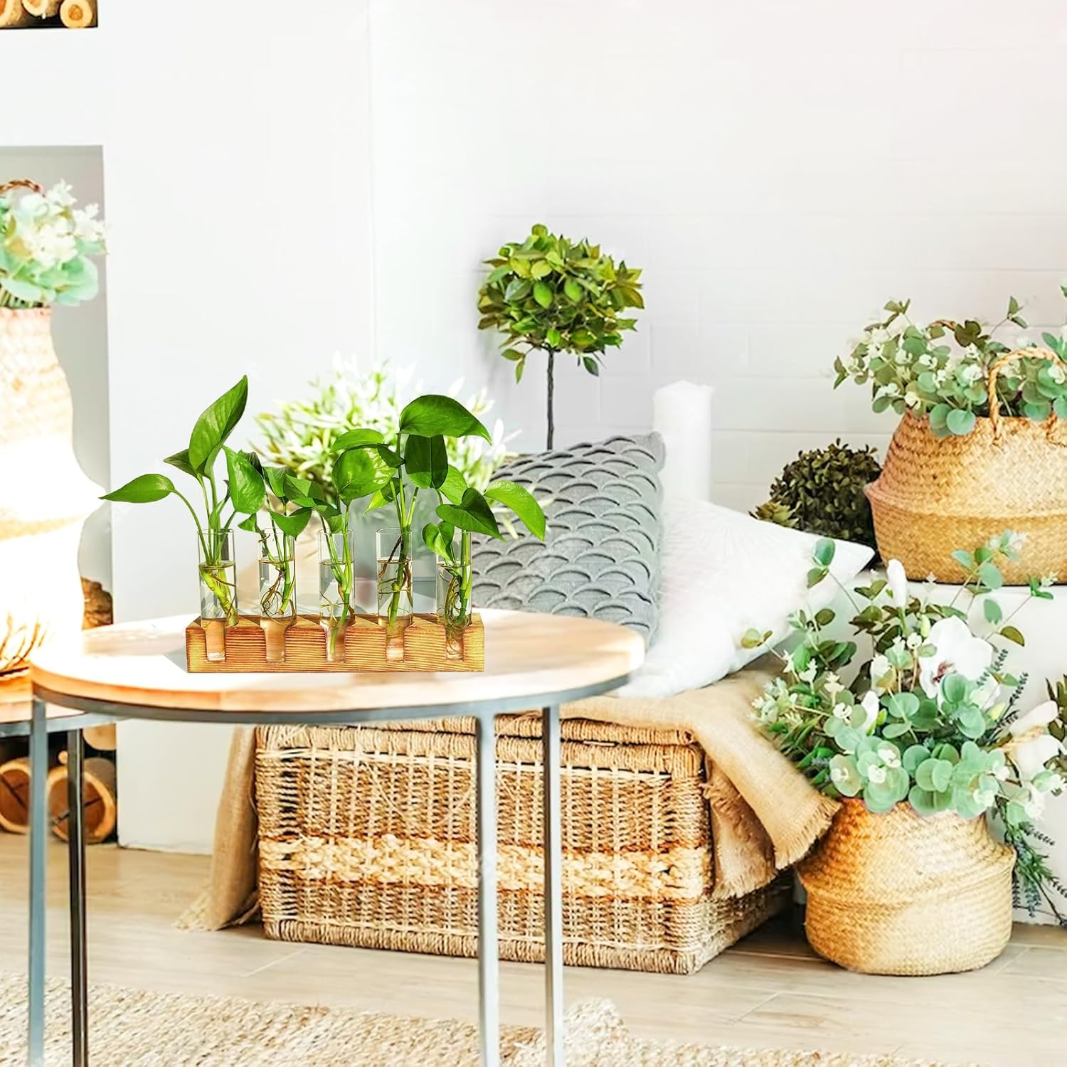 Plant Propagation Station, Plant Terrarium with Wooden Stand, Plants Pots for Hydroponics, Small Birthday Gardening Gifts for Women Mom Plants Lovers Unique - 5 Glass Test Tubes Vases - Image 4