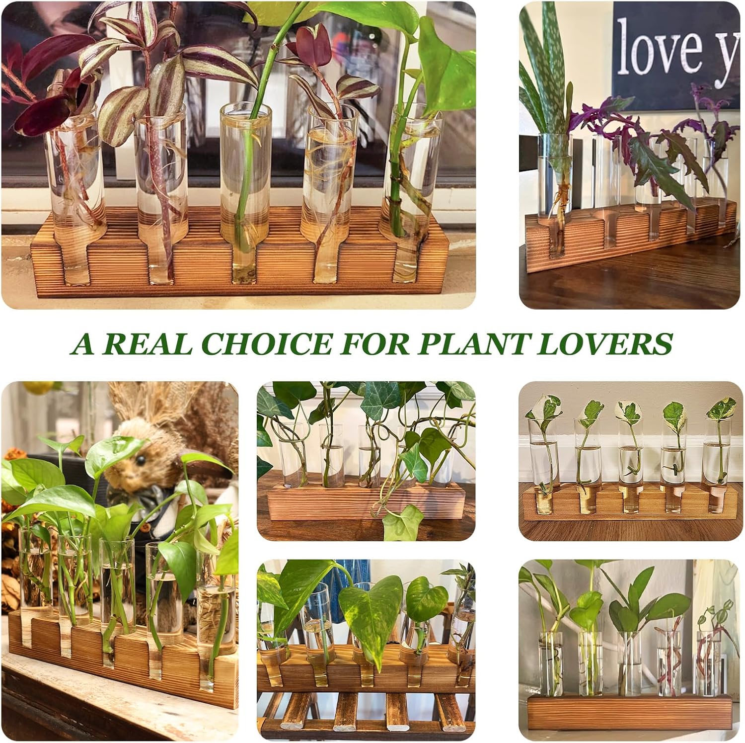 Plant Propagation Station, Plant Terrarium with Wooden Stand, Plants Pots for Hydroponics, Small Birthday Gardening Gifts for Women Mom Plants Lovers Unique - 5 Glass Test Tubes Vases - Image 5