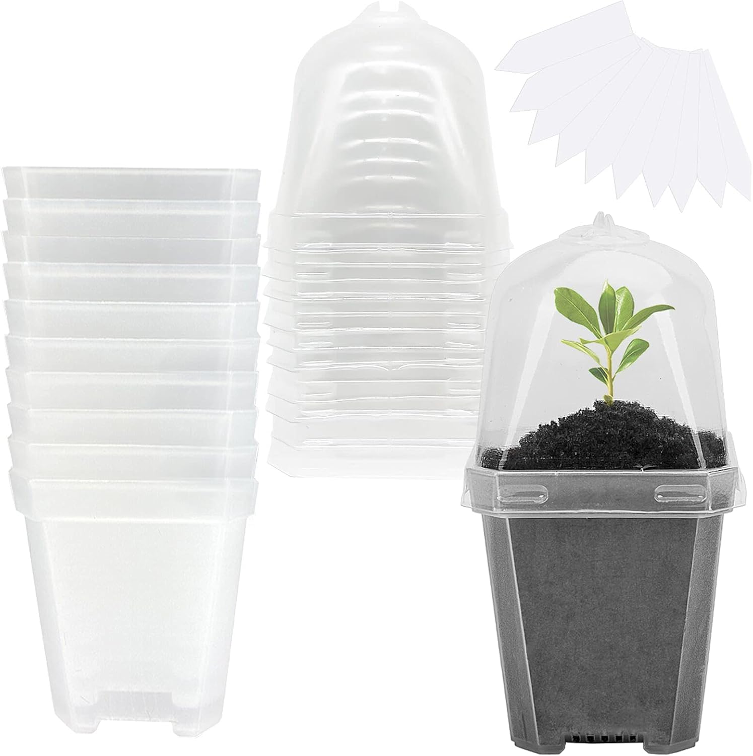 10PCS Clear Plant Nursery Pots with Humidity Dome - 3