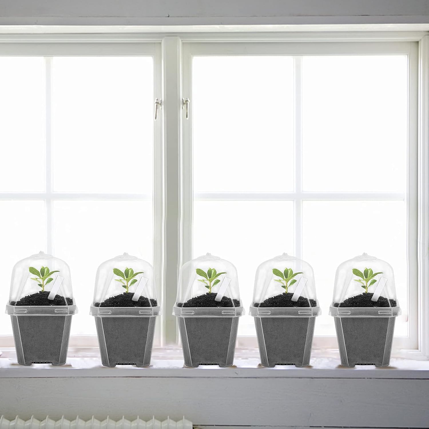 10PCS Clear Plant Nursery Pots with Humidity Dome - 3
