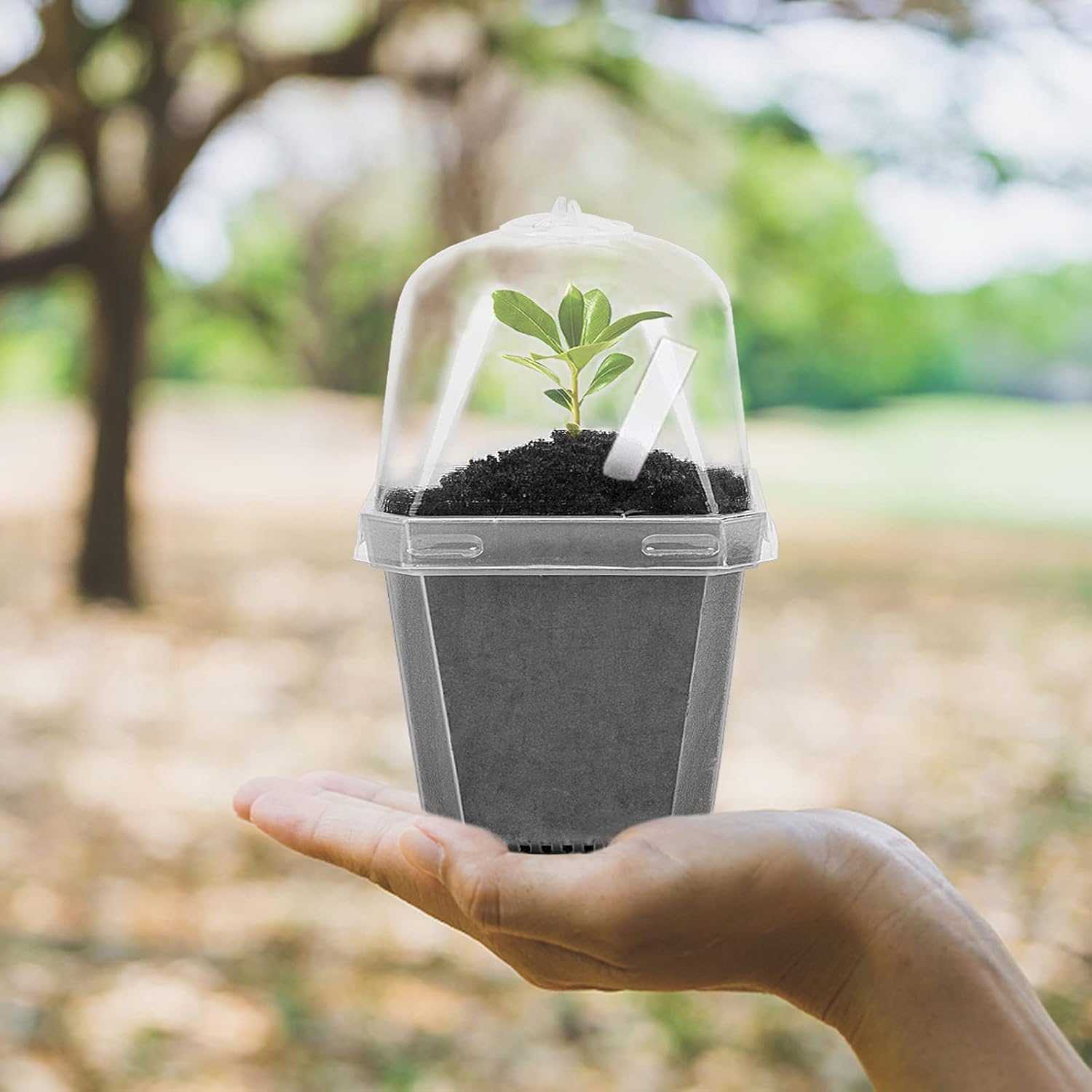 10PCS Clear Plant Nursery Pots with Humidity Dome - 3