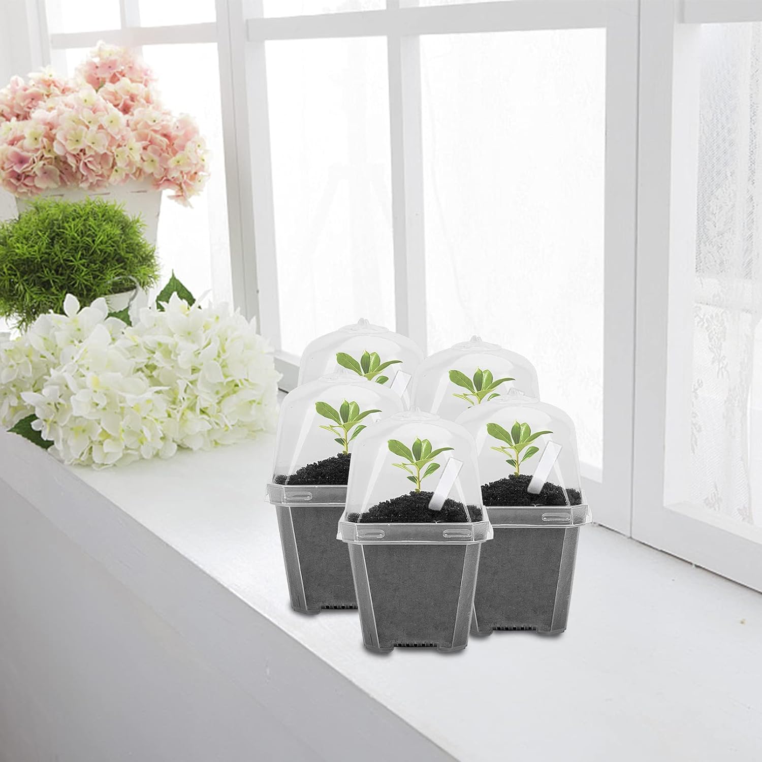 10PCS Clear Plant Nursery Pots with Humidity Dome - 3
