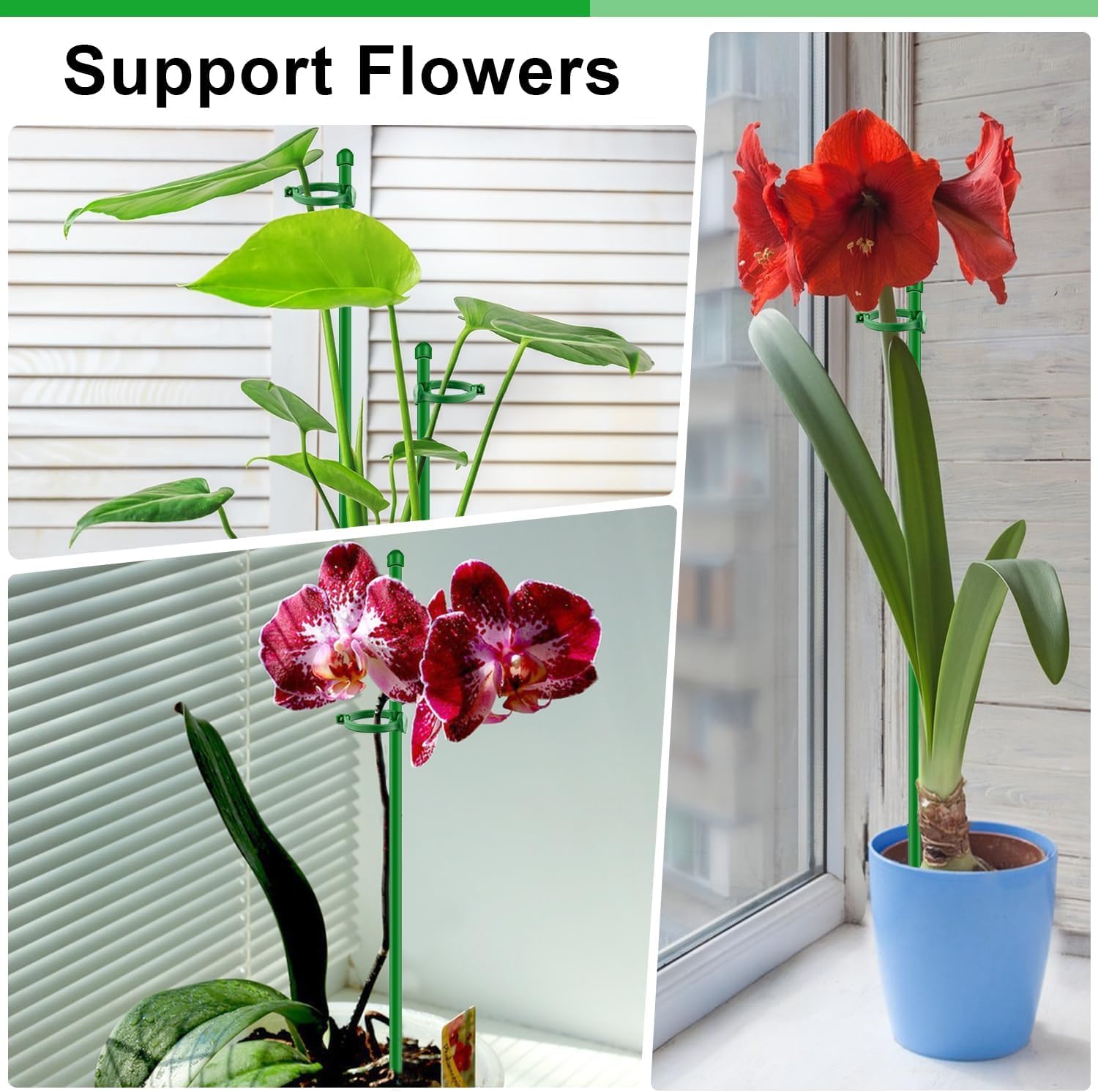 20Pcs Plant Support Stakes 17 inch  Garden Orchid Sticks Extended to 3ft 4ft 5ft Plant Poles with Clips for Indoor Outdoor Potted Tomato Rose Amaryllis Vegetables Comes with 20 Ties - Image 6