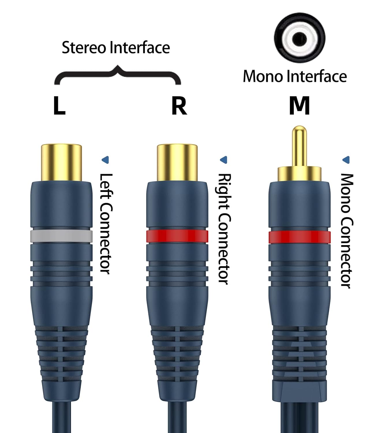 RCA Splitter 1 Male 2 Female 2 Pack, RCA Y Splitter Cable Audio Video Adapter Extension Cord 0.2m/8inch for Subwoofer Speakers - Image 3