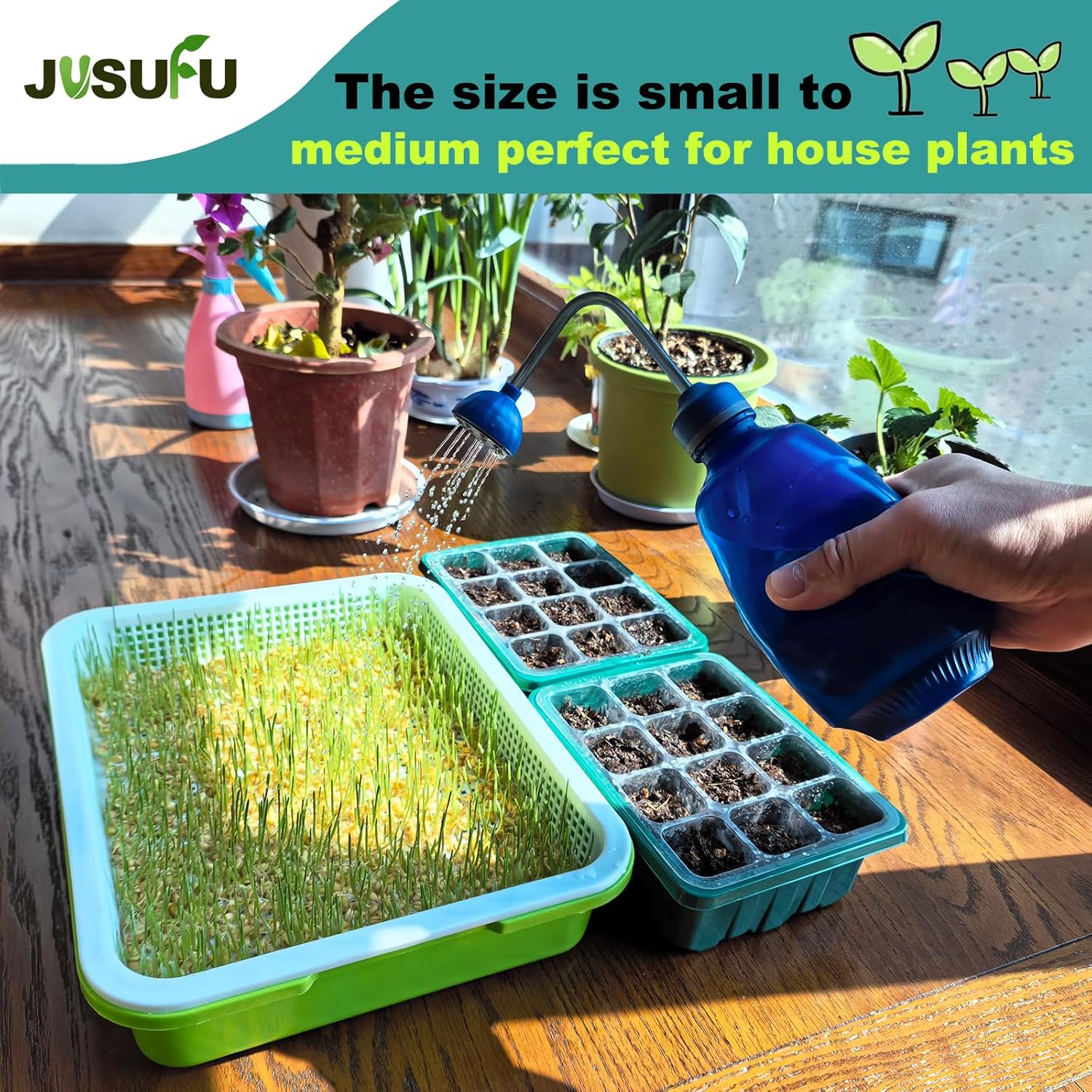Watering Can for Seedlings, Small Watering Can for House Plant Garden Flower 15oz/0.45l (Blue) - Image 2