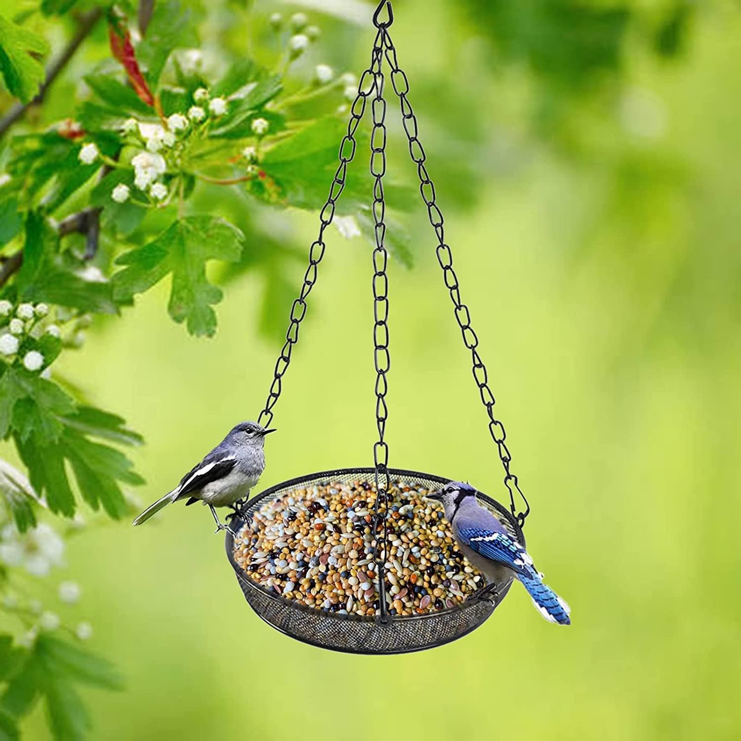 Hanging Bird Feeder, Birdfeeder Hanging for Garden Yard Outside Hanging Bird Feeder Tray - Metal Mesh Platform Feeders for Birds Outside Outdoors Hanging for Attracting Birds - Original - Image 4