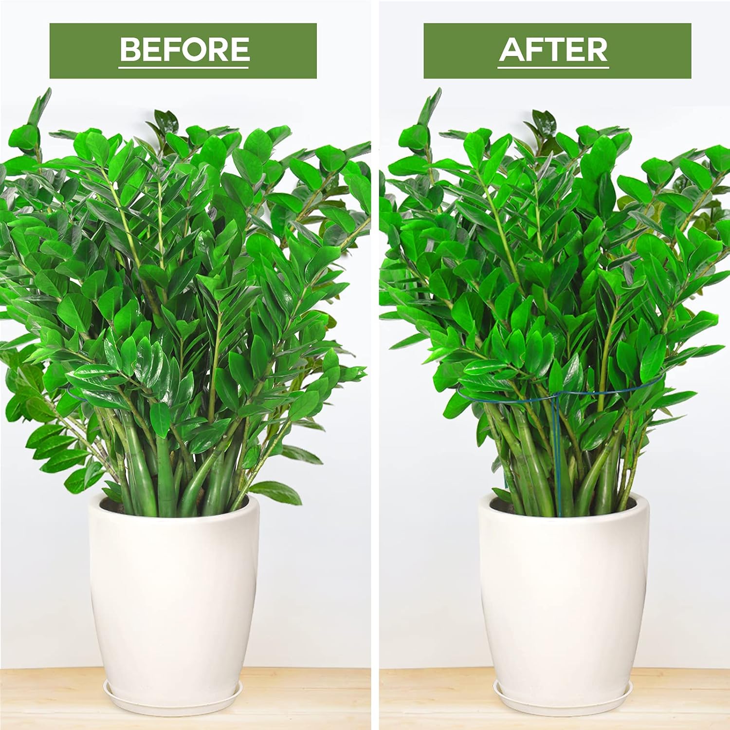 6 Pack Plant Support Plant Stakes, Metal Peony Support, Garden Plant Supports, Plant Cage, Plant Support Ring, Plant Support Stakes for Peony, Tomato, Hydrangea, Indoor Plants, 9.8 W x 15.7 H - Image 5