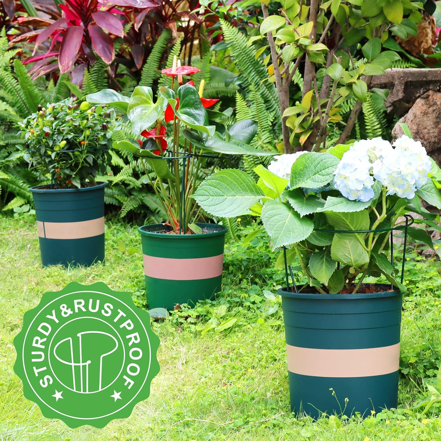 6 Pack Plant Support Plant Stakes, Metal Peony Support, Garden Plant Supports, Plant Cage, Plant Support Ring, Plant Support Stakes for Peony, Tomato, Hydrangea, Indoor Plants, 9.8 W x 15.7 H - Image 6