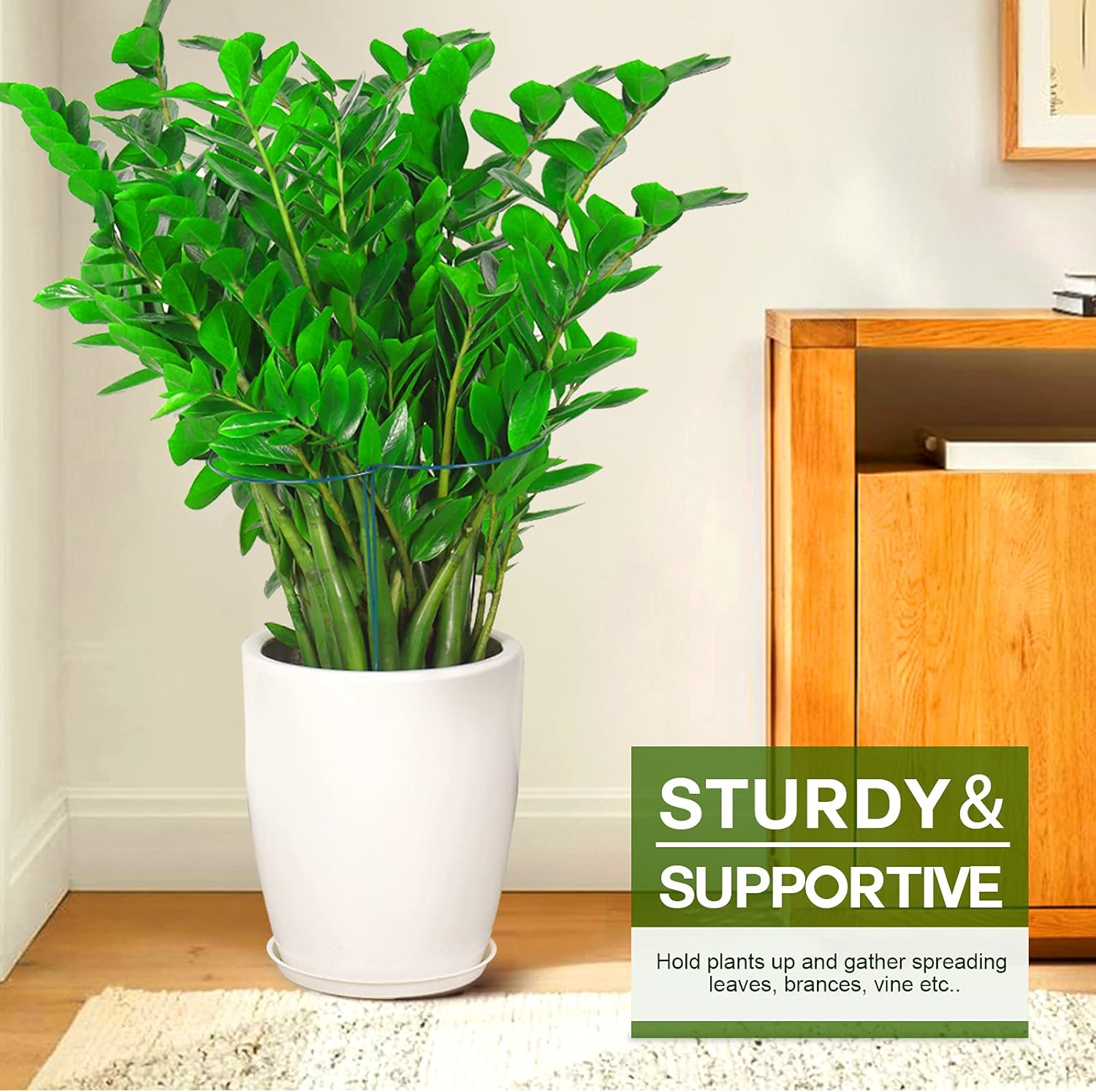 6 Pack Plant Support Plant Stakes, Metal Peony Support, Garden Plant Supports, Plant Cage, Plant Support Ring, Plant Support Stakes for Peony, Tomato, Hydrangea, Indoor Plants, 9.8 W x 15.7 H - Image 8
