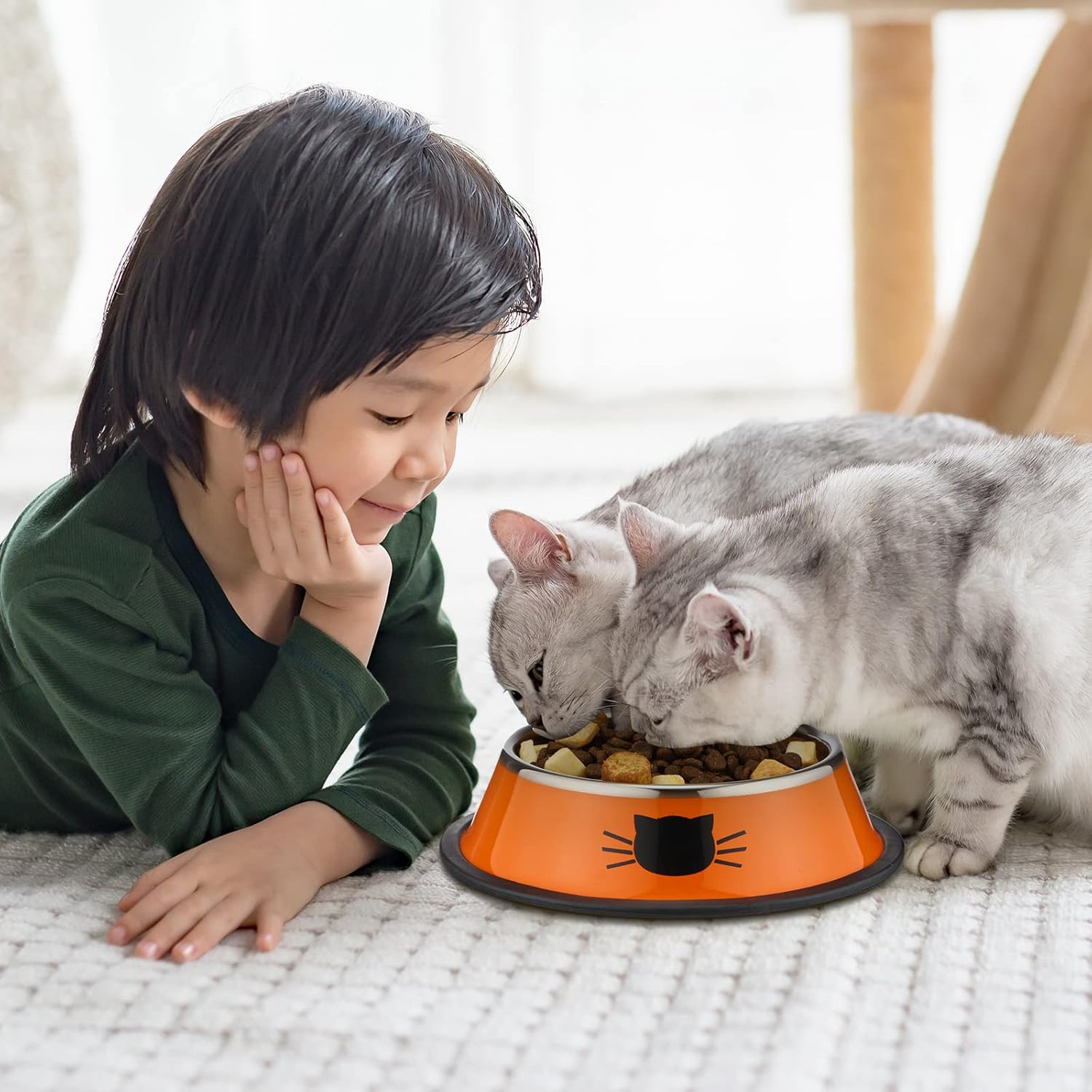 6 Pcs Cat Bowls for Food and Water Dishes Stainless Steel Pet 7 oz Anti Slip Metal Dish with Removable Rubber Base Thick Feeding Indoor Kitten Small Dog(Classic Color) Classic Color - Image 6