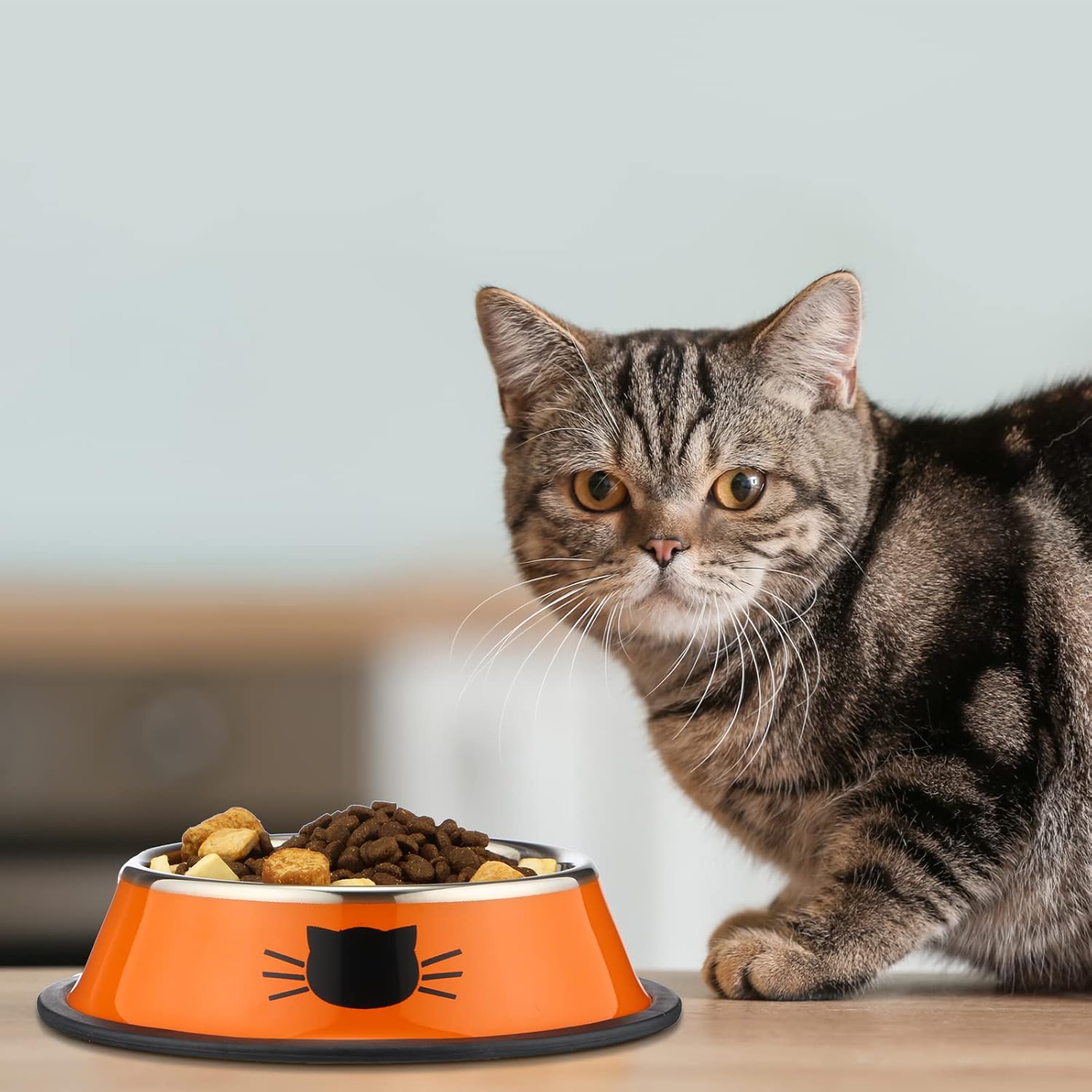 6 Pcs Cat Bowls for Food and Water Dishes Stainless Steel Pet 7 oz Anti Slip Metal Dish with Removable Rubber Base Thick Feeding Indoor Kitten Small Dog(Classic Color) Classic Color - Image 7