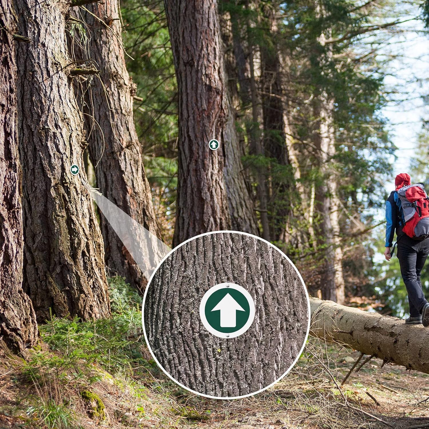 36 Piece Trail Markers Bright Reflective Green Signs Marking Reflectors for Hiking Hunting Camping Backpacking Walking Driveway Office New Place, Easy to Mount - Image 7