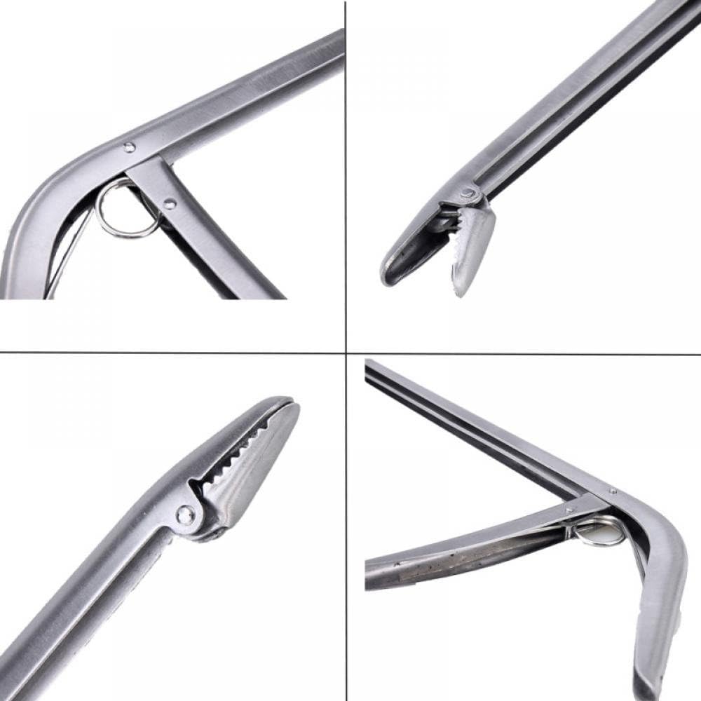 1Pack Fish Hook Remover, Premium Fishing Pliers-Stainless Steel Remover Tool, with Strong Jaw Grip and Serrated Teeth, Suitable for Freshwater Saltwater - Image 3
