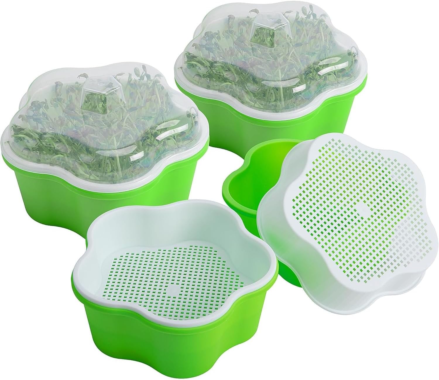 Petluno 4 pieces seedling pots with lids, 16 cm seedling pot BPA-free healthy hydroponic growing pot soil-free sprouting container for growing mung beans, alfalfa, wheatgrass - Image 1