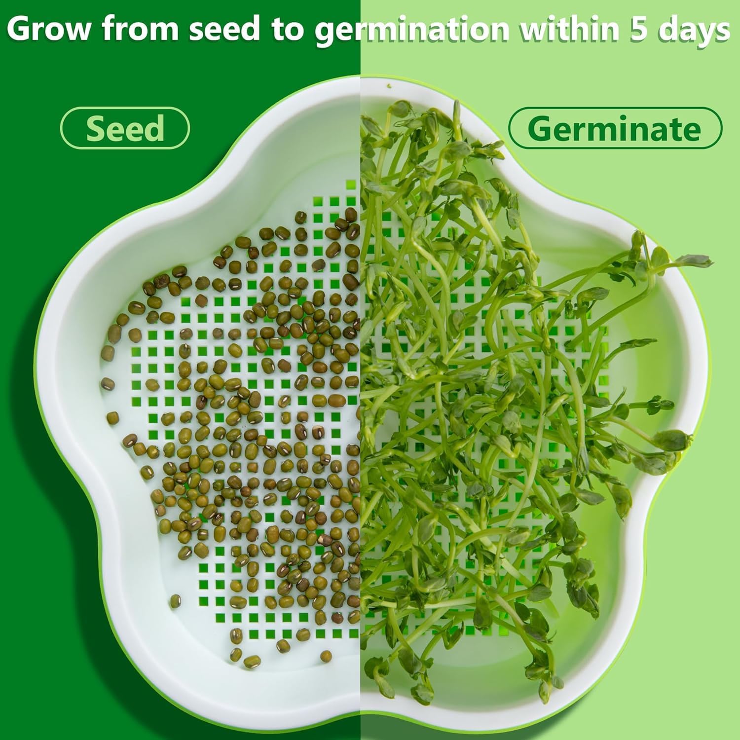 Petluno 4 pieces seedling pots with lids, 16 cm seedling pot BPA-free healthy hydroponic growing pot soil-free sprouting container for growing mung beans, alfalfa, wheatgrass - Image 4