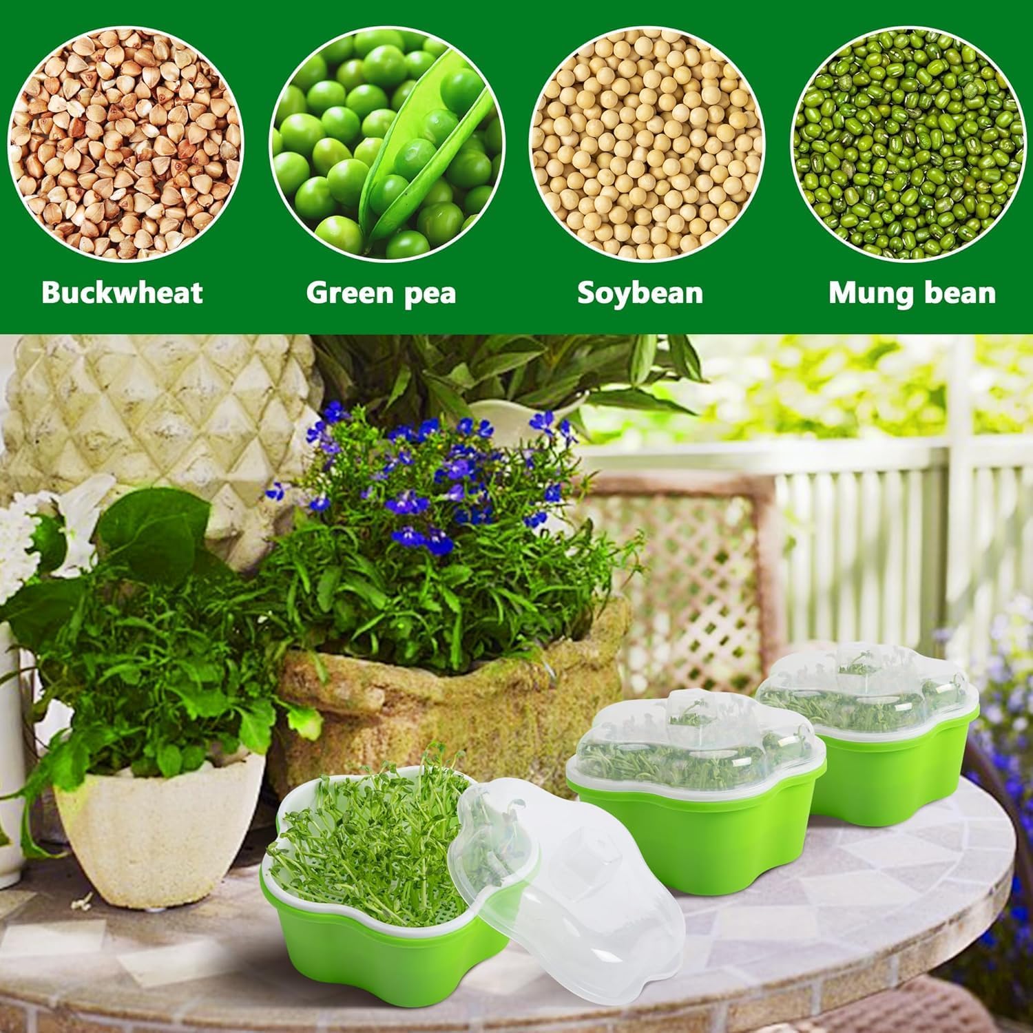 Petluno 4 pieces seedling pots with lids, 16 cm seedling pot BPA-free healthy hydroponic growing pot soil-free sprouting container for growing mung beans, alfalfa, wheatgrass - Image 7