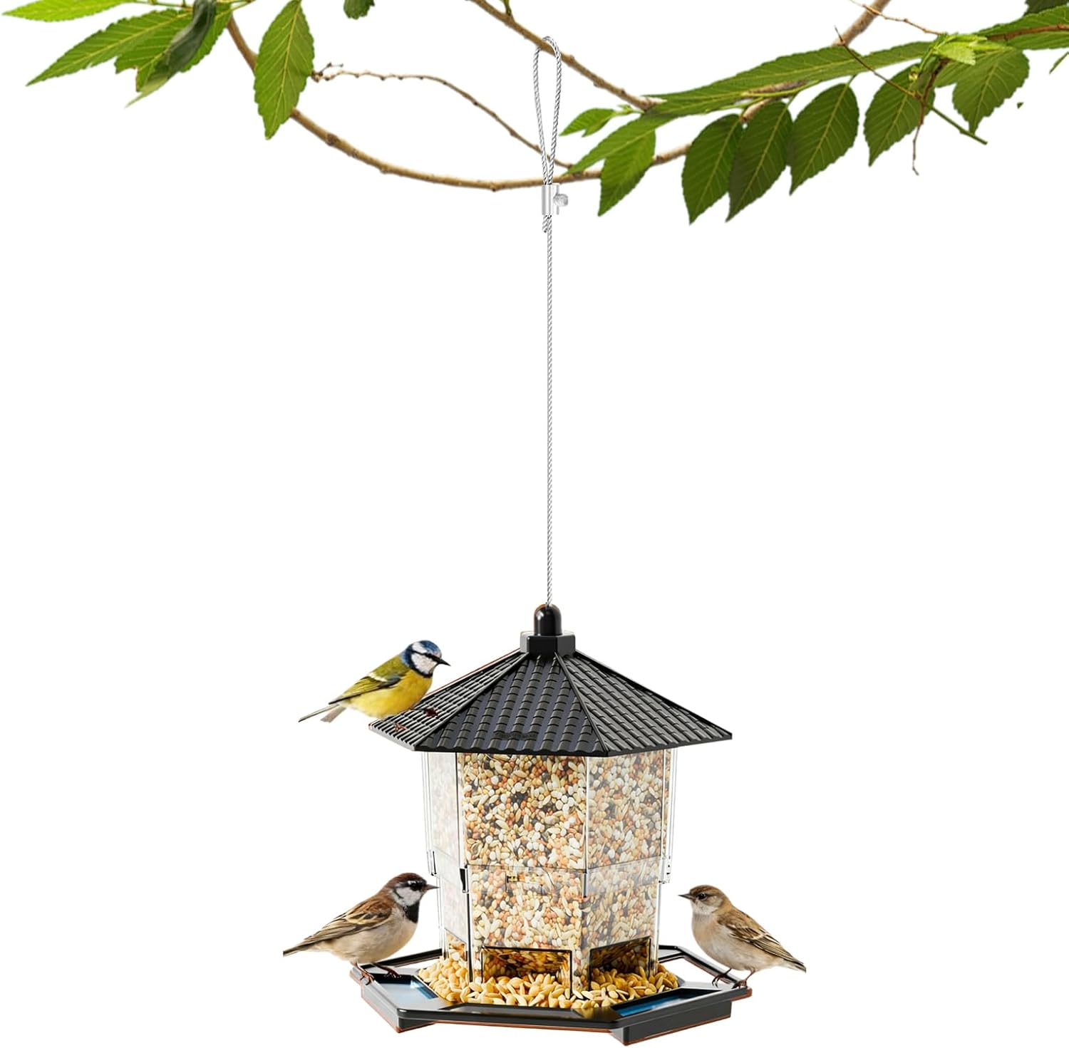 Bird Feeder Houses | Hanging and Refillable Feeding Station Squirrel-Proof Window Bird Feeder Including Landing Perch for Outdoor Garden Birds Wildlife Black - Image 7