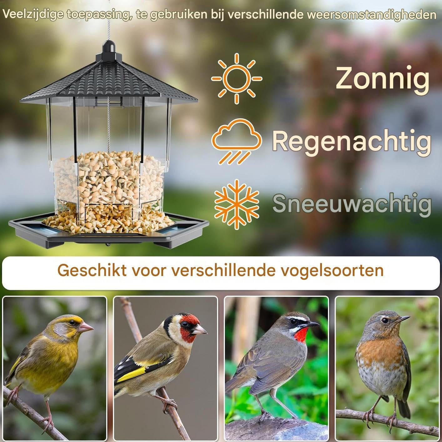 Bird Feeder Houses | Hanging and Refillable Feeding Station Squirrel-Proof Window Bird Feeder Including Landing Perch for Outdoor Garden Birds Wildlife Black - Image 8