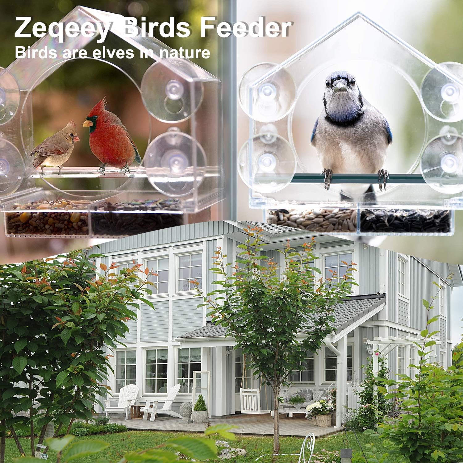 Strong suction window bird feeder, large capacity window bird feeder with removable seed tray and drainage holes for bird food, suitable for Dunnock, Blue Tit, Robin and small wild birds, 21 cm x 20 cm x 10 cm - Image 7