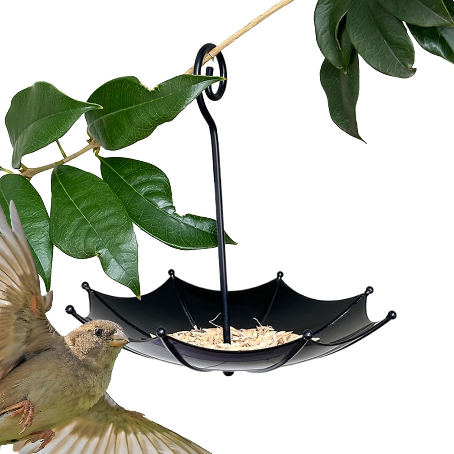 Bird feeder house, 18 x 16.5 cm, protection for poultry, outer covers, small adjustable height cover, bird feeding station for garden, balcony, rain shelter - Image 5