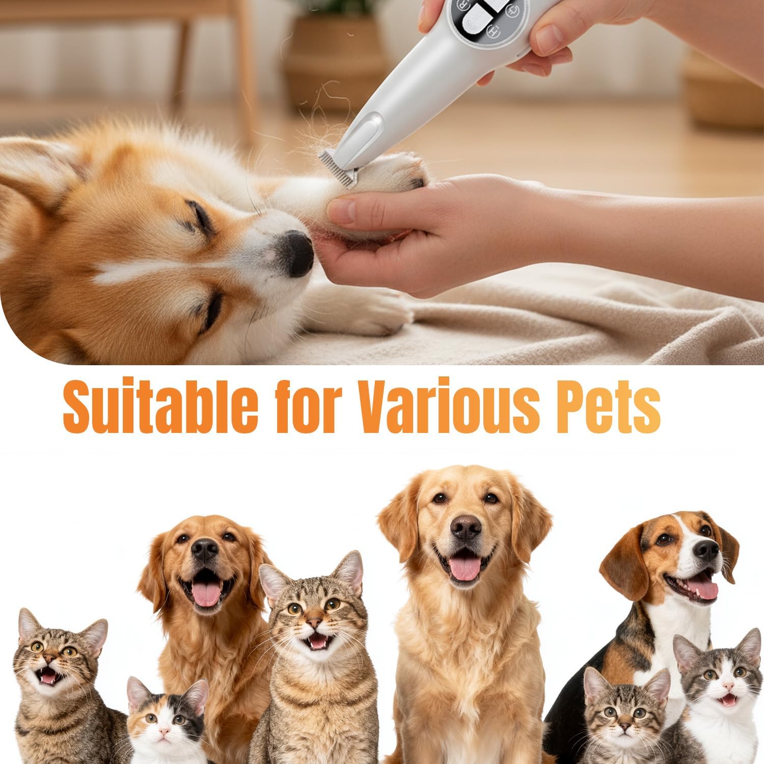 Petluno 2-in-1 Pet Grooming Trimmer with LED Light, Rechargeable Dog/Cat Hair Clipper, Grooming Tool, Electric Nail Grinder for Cats and Dogs, Pet Clipper Blades for Eyes, Ears - Image 8