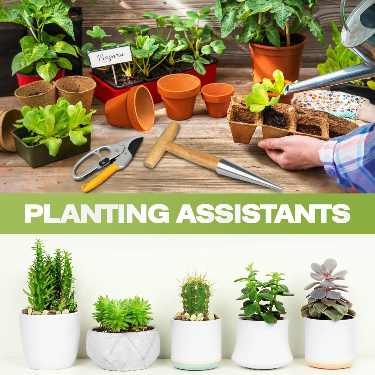 Flower bulbs, plant stakes, flower bulbs with T-grip, bulb planting aids, onion sets, garden vegetables, flowers and tulip bulbs - Image 7
