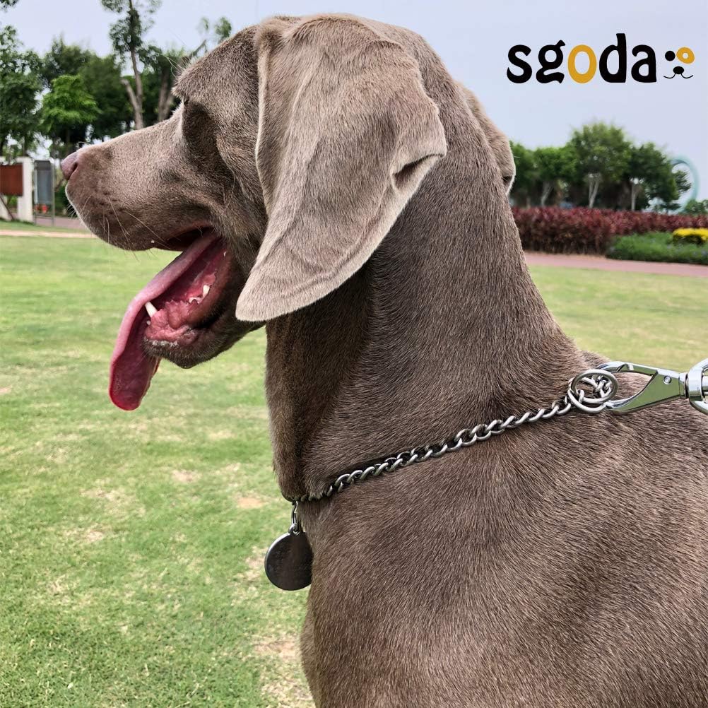 Chain Dog Training Choke Collar, 304 Stainless Steel, Total Length 20 in, 2.5 mm - Image 4