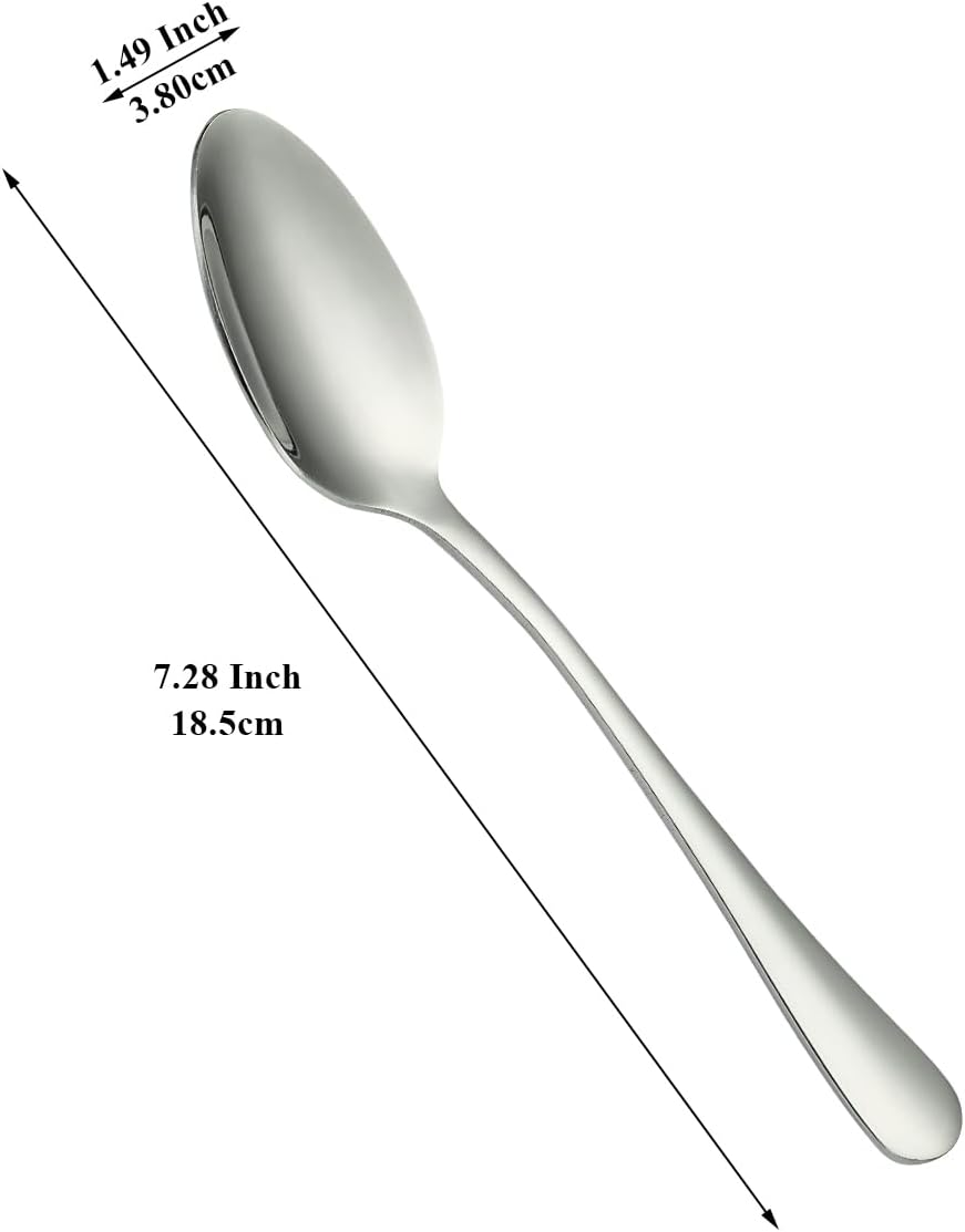 Dinner Spoons 12 Pieces 18.5cm, Stainless Steel Soup Spoons, Table Spoon, Sturdy and Durable for Home and Restauroom Daily Use, Easy to Clean, Dishwasher Safe - Image 2