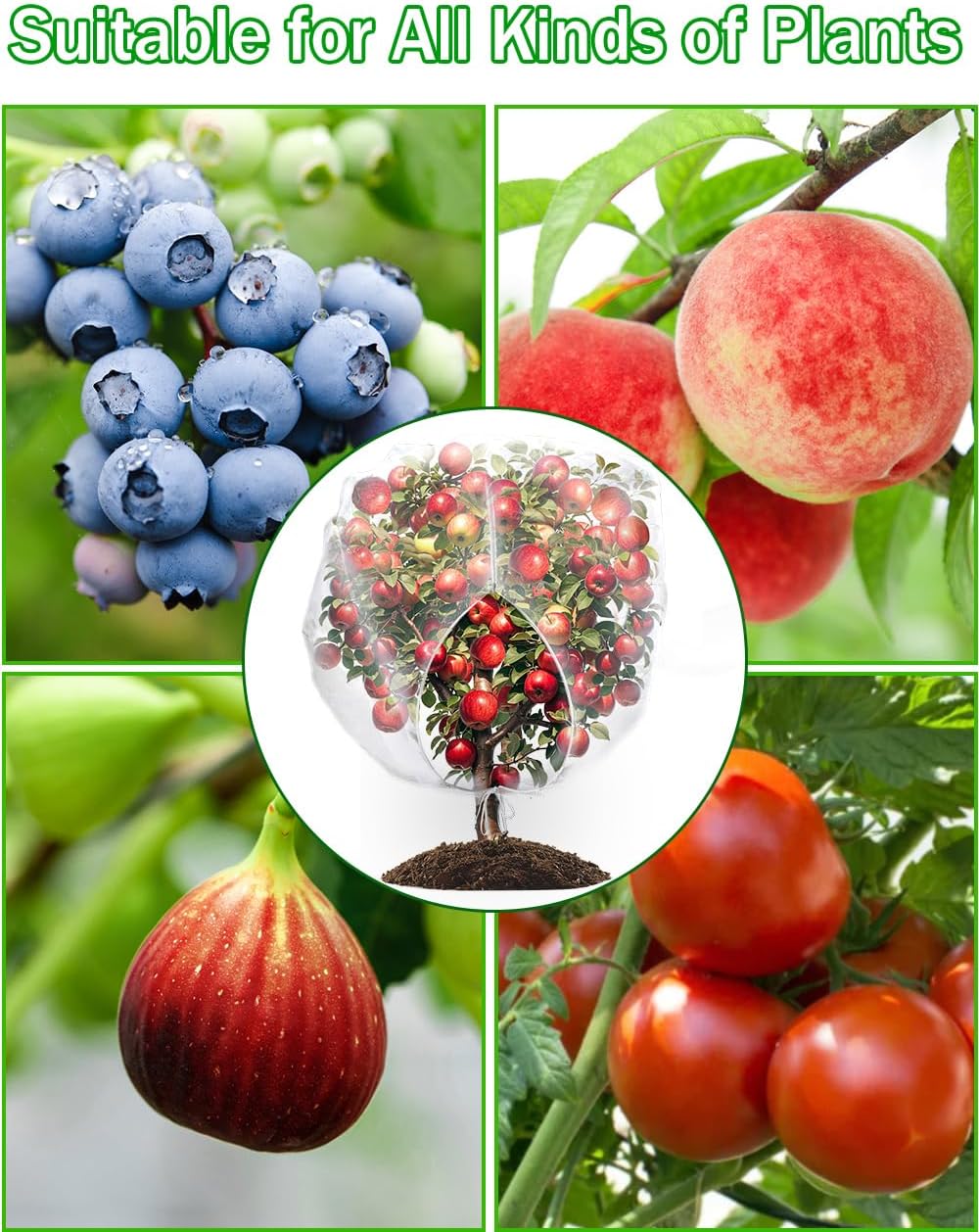 8 x 8ft Large Fruits Tree Netting, Insect Bird Barrier Tree Net with Drawstring and Zipper, Plant Cover Fruit Tree Protection to Prevent Tomato Blueberry Vegetables from Squirrels Birds - Image 4