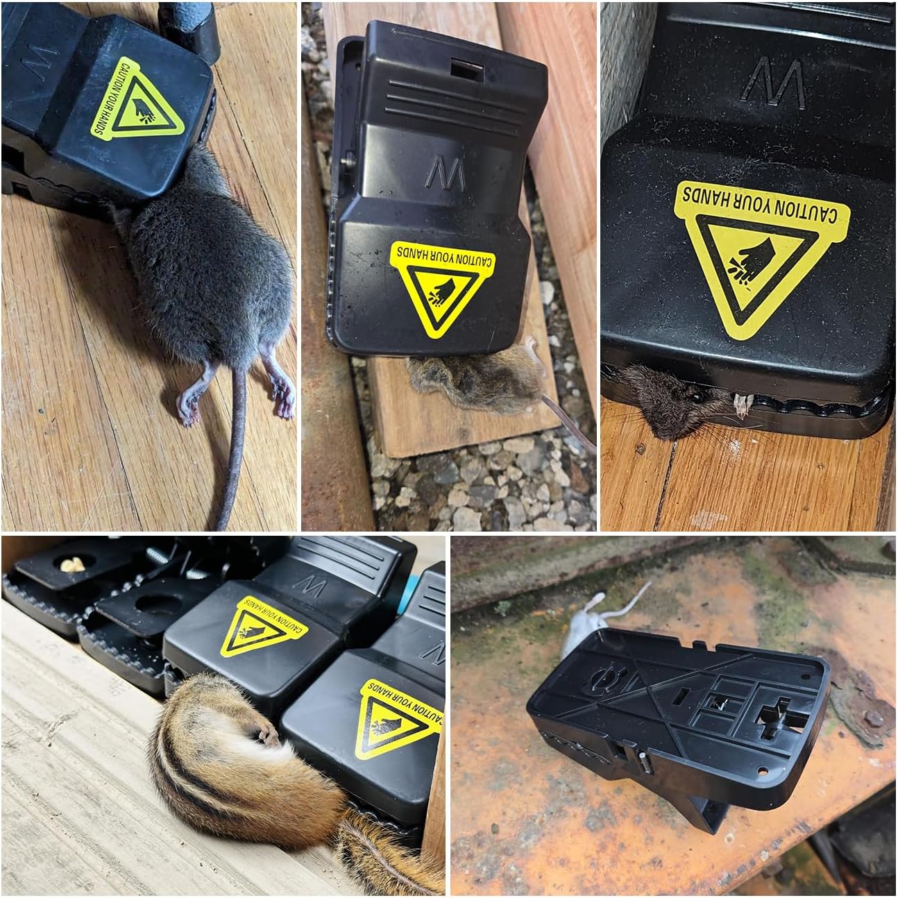 8 Packs Large Mouse Traps, High Sensitivity Rat Snap Best Mouse Traps That Work, Safe Effective Anti Rat Mice Trap Indoor Outdoor, Powerful Rodent Catcher, Easy Clean and Quick Kill Mouse - Image 7