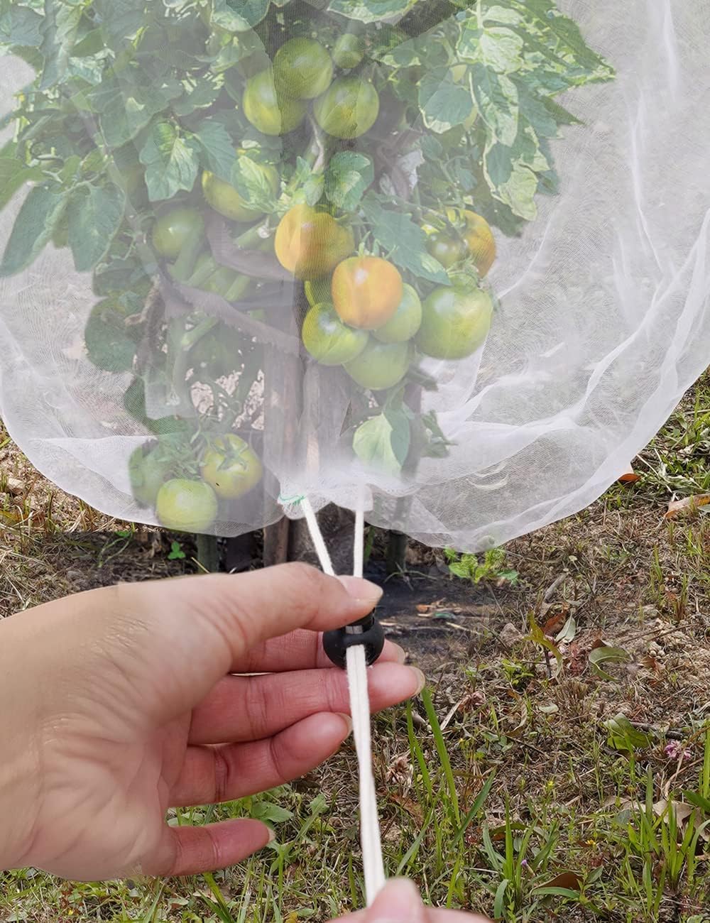 4 Packs Bird Netting Pest Barrier with Drawstring, 4.9Ft x 3.3Ft+3.3FT x 2.7FT Garden Tree Netting Pest Barrier Fruit Covers Prevent Fruits Plants from Squirrel Bird Insect Deer Animals - Image 8