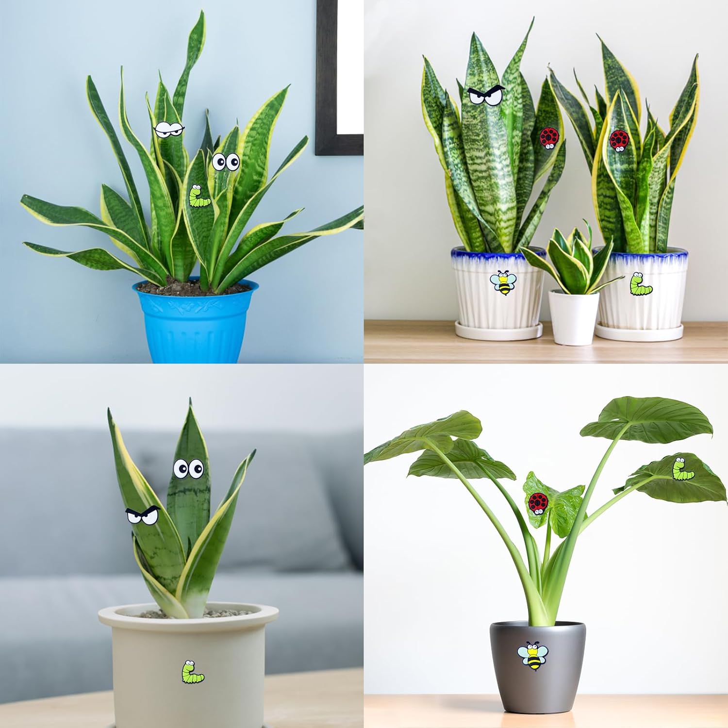 Cute Plant Magnets - Funny Cartoon Eyes, Unique Lover Gifts, Lightweight & Safe Halloween and Christmas Decoration, Indoor Accessories for Office - Give Your Plants Personality - Image 5