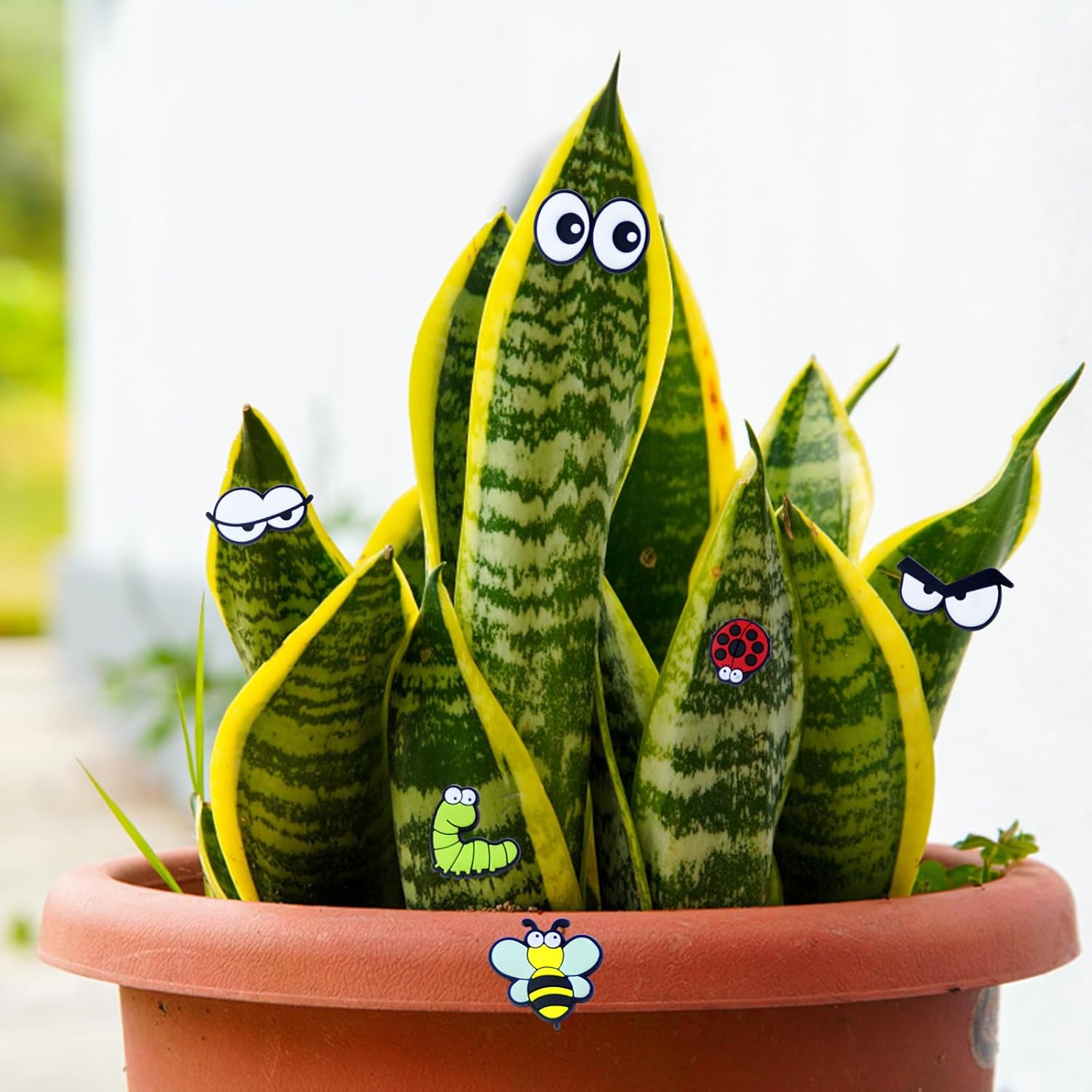 Cute Plant Magnets - Funny Cartoon Eyes, Unique Lover Gifts, Lightweight & Safe Halloween and Christmas Decoration, Indoor Accessories for Office - Give Your Plants Personality - Image 6