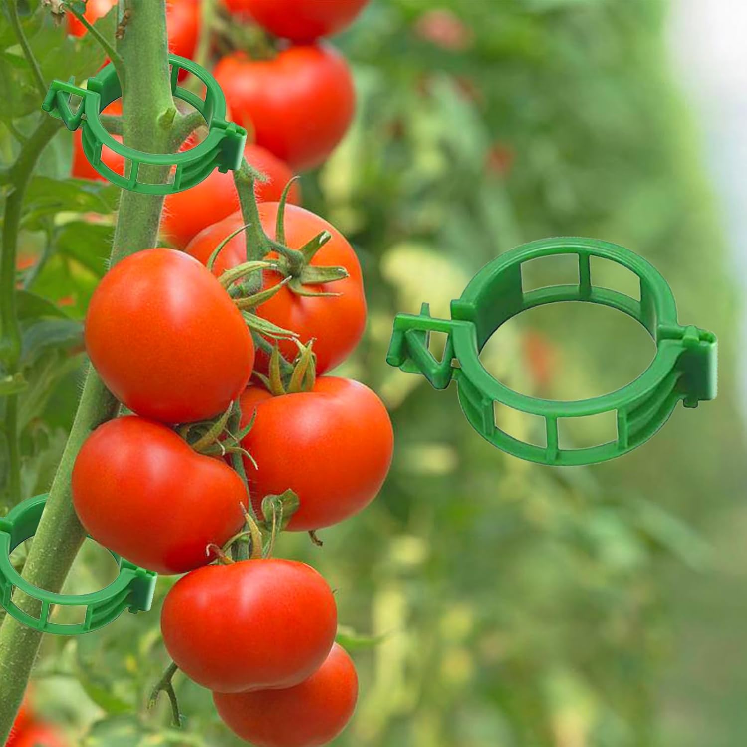 Tomato Clips for Climbing Plants, 300 Pcs Reusable Plastic Tomato Plant Clips for Climbing Plants,Tomato Trellis Clips for Plants Support - Image 1