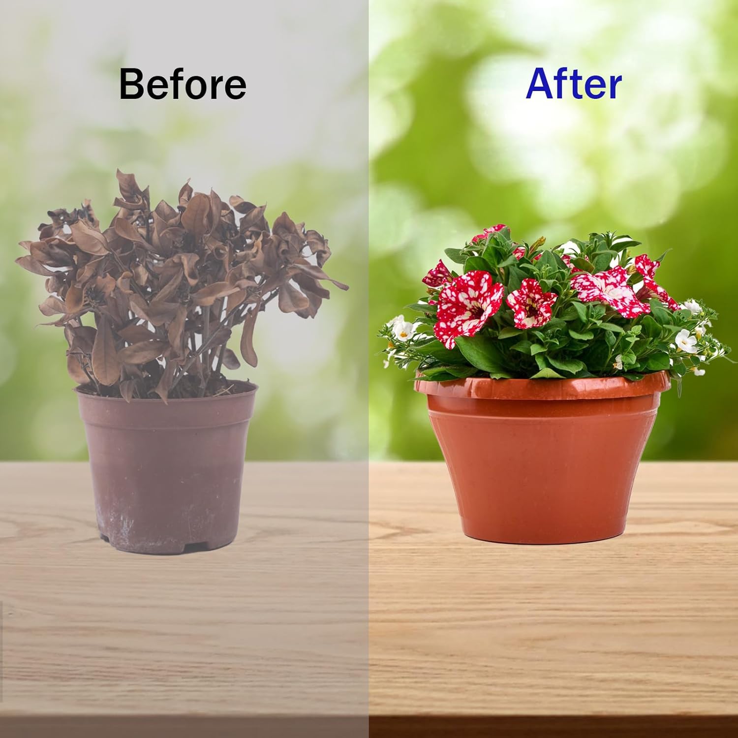 8 Pack Self Watering Spikes, Automatic Plant Irrigation Drippers, Plastic Self Watering Device with Adjustable Control Valve for Indoor & Outdoor Plants and Flowers, Easy to Install - Image 5