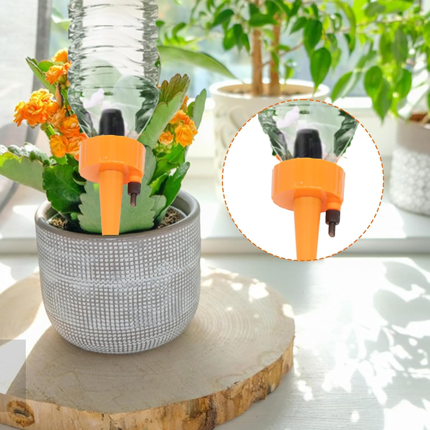 8 Pack Self Watering Spikes, Automatic Plant Irrigation Drippers, Plastic Self Watering Device with Adjustable Control Valve for Indoor & Outdoor Plants and Flowers, Easy to Install - Image 6