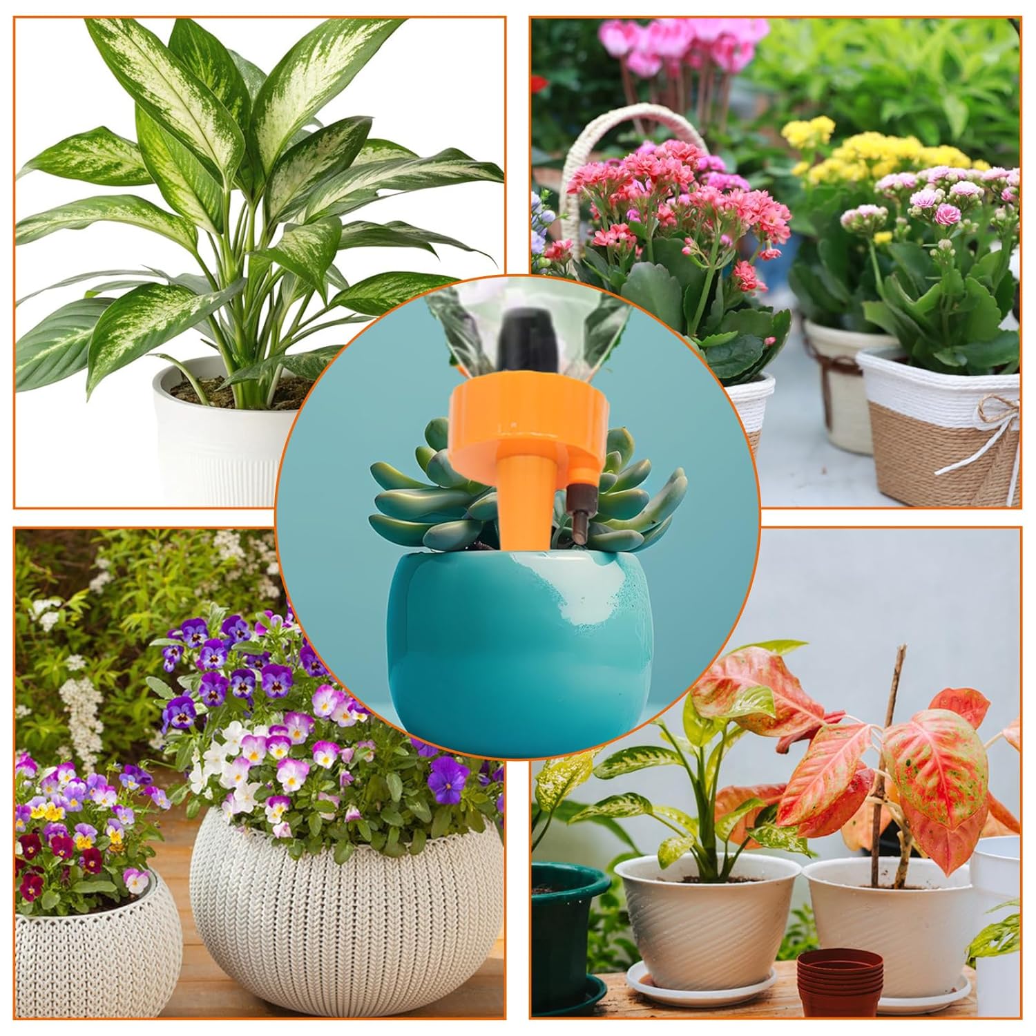 8 Pack Self Watering Spikes, Automatic Plant Irrigation Drippers, Plastic Self Watering Device with Adjustable Control Valve for Indoor & Outdoor Plants and Flowers, Easy to Install - Image 8